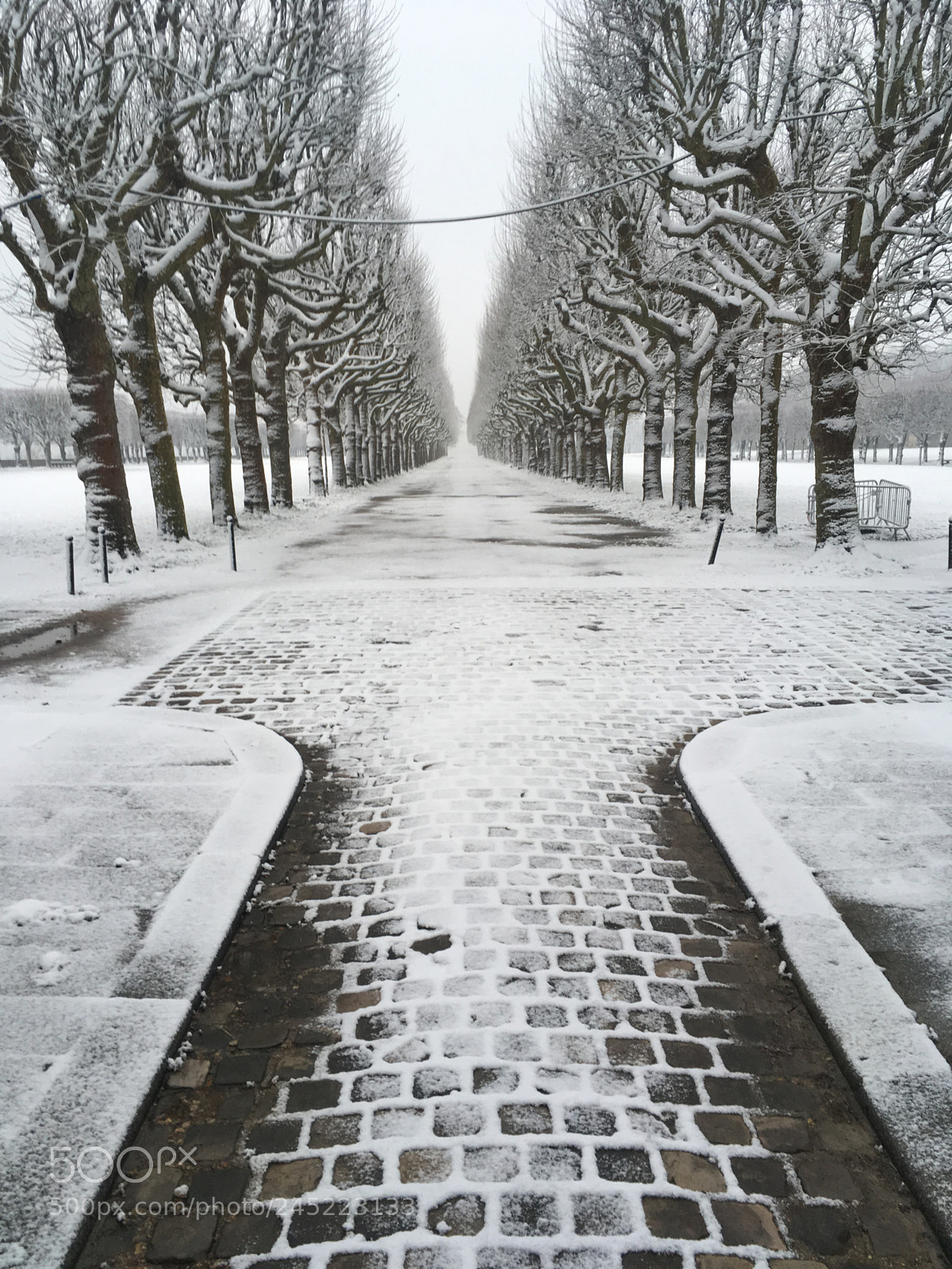 Apple iPhone SE sample photo. Cold avenue photography