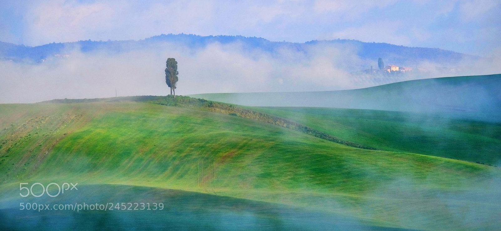 Fujifilm X-M1 sample photo. Fog in the countryside photography