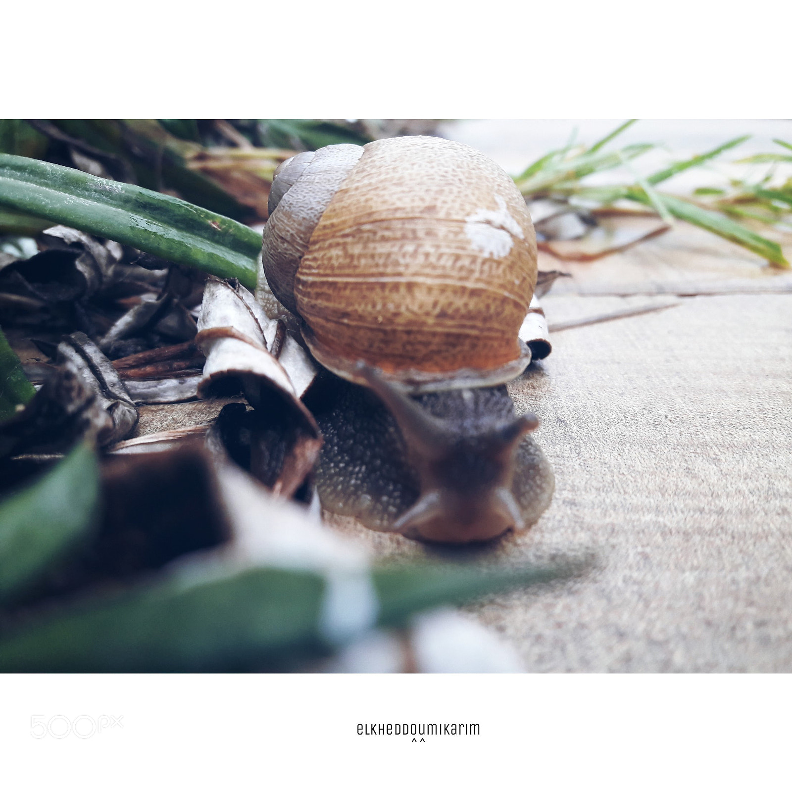 Samsung Galaxy A5(2016) sample photo. Untitled photography