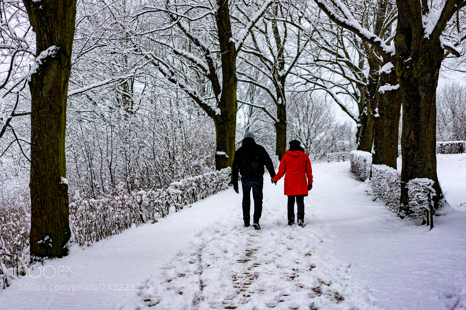 Sony a7 II sample photo. Walk in the snow photography