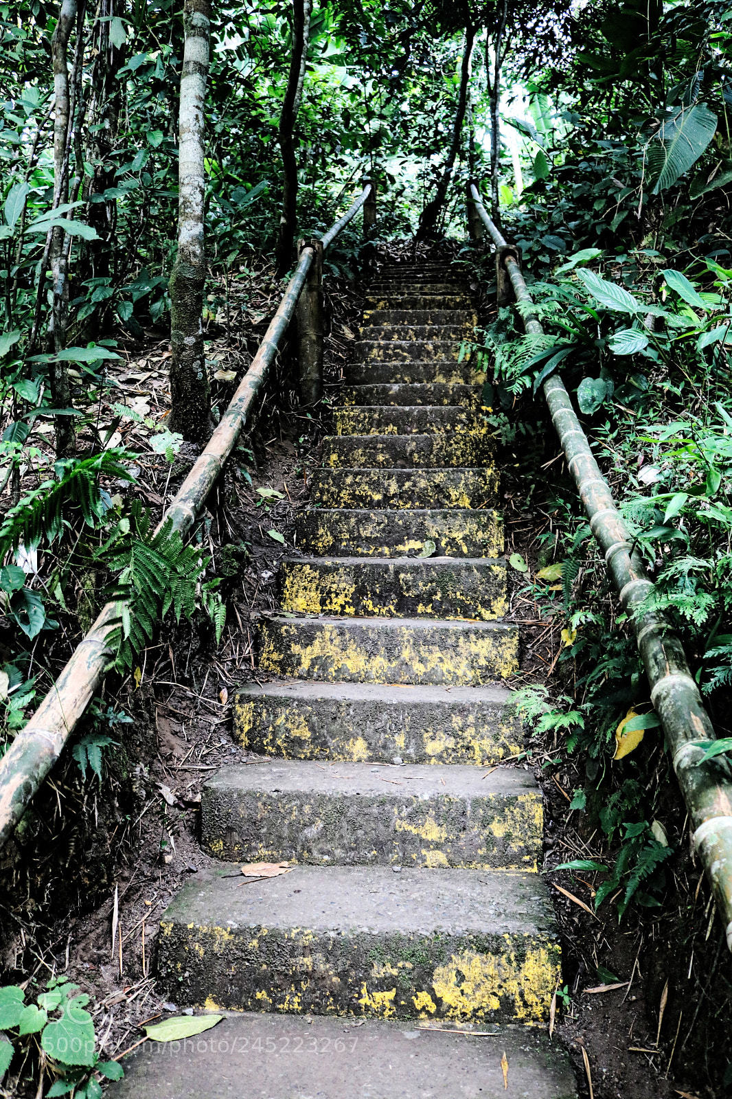 Canon EOS 750D (EOS Rebel T6i / EOS Kiss X8i) sample photo. Stairs photography