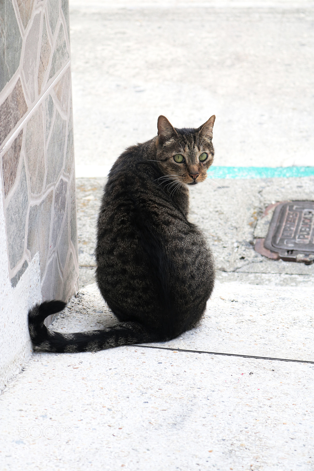 Canon EOS 750D (EOS Rebel T6i / EOS Kiss X8i) sample photo. Pepito photography