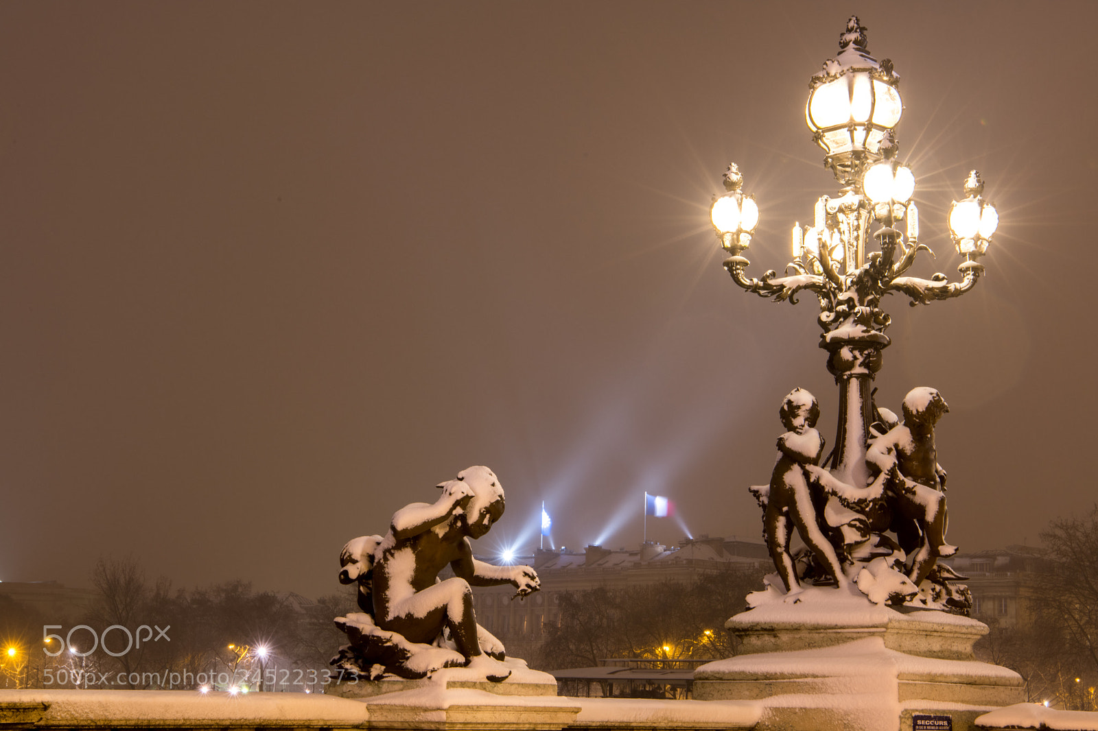 Nikon D850 sample photo. Pont alexandre iii de photography