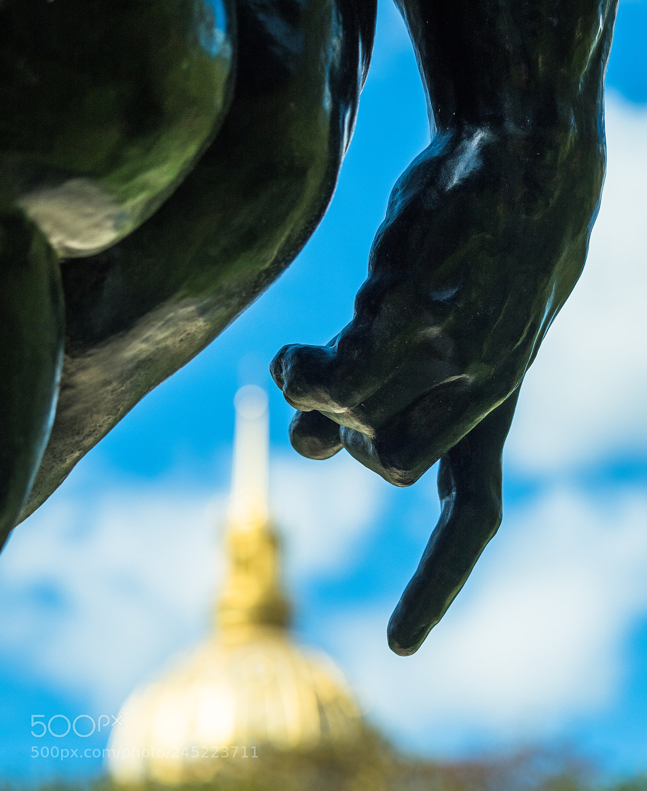 Olympus OM-D E-M5 II sample photo. Rodin and the golden photography