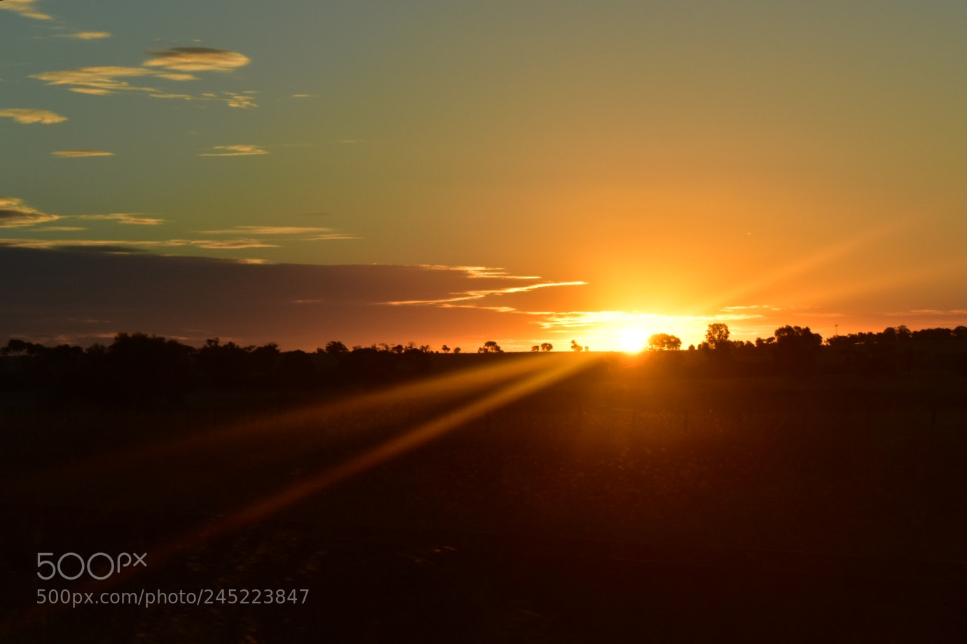 Nikon D5600 sample photo. Amber evening photography