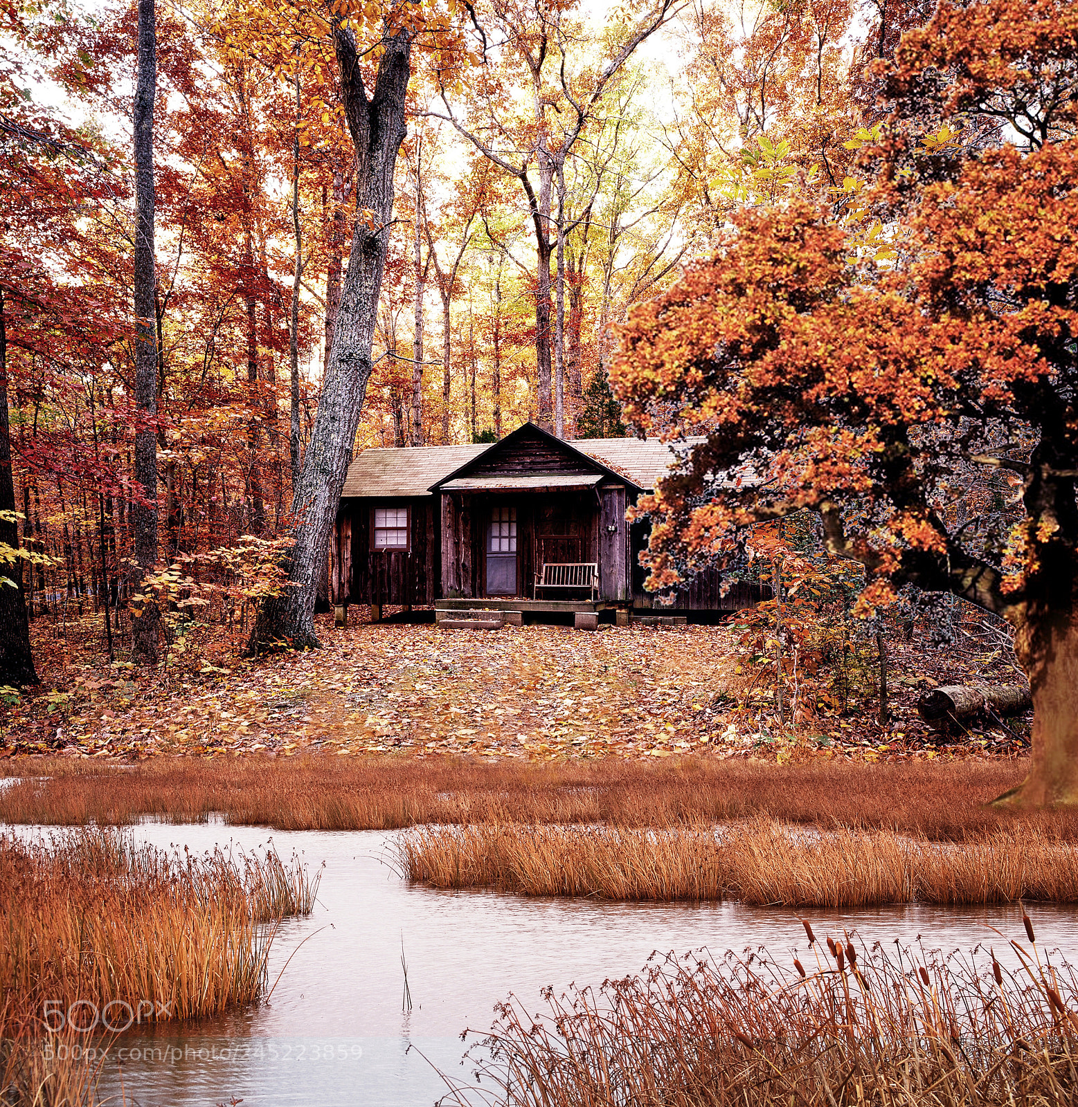 Nikon D40X sample photo. Cabin in the woods photography