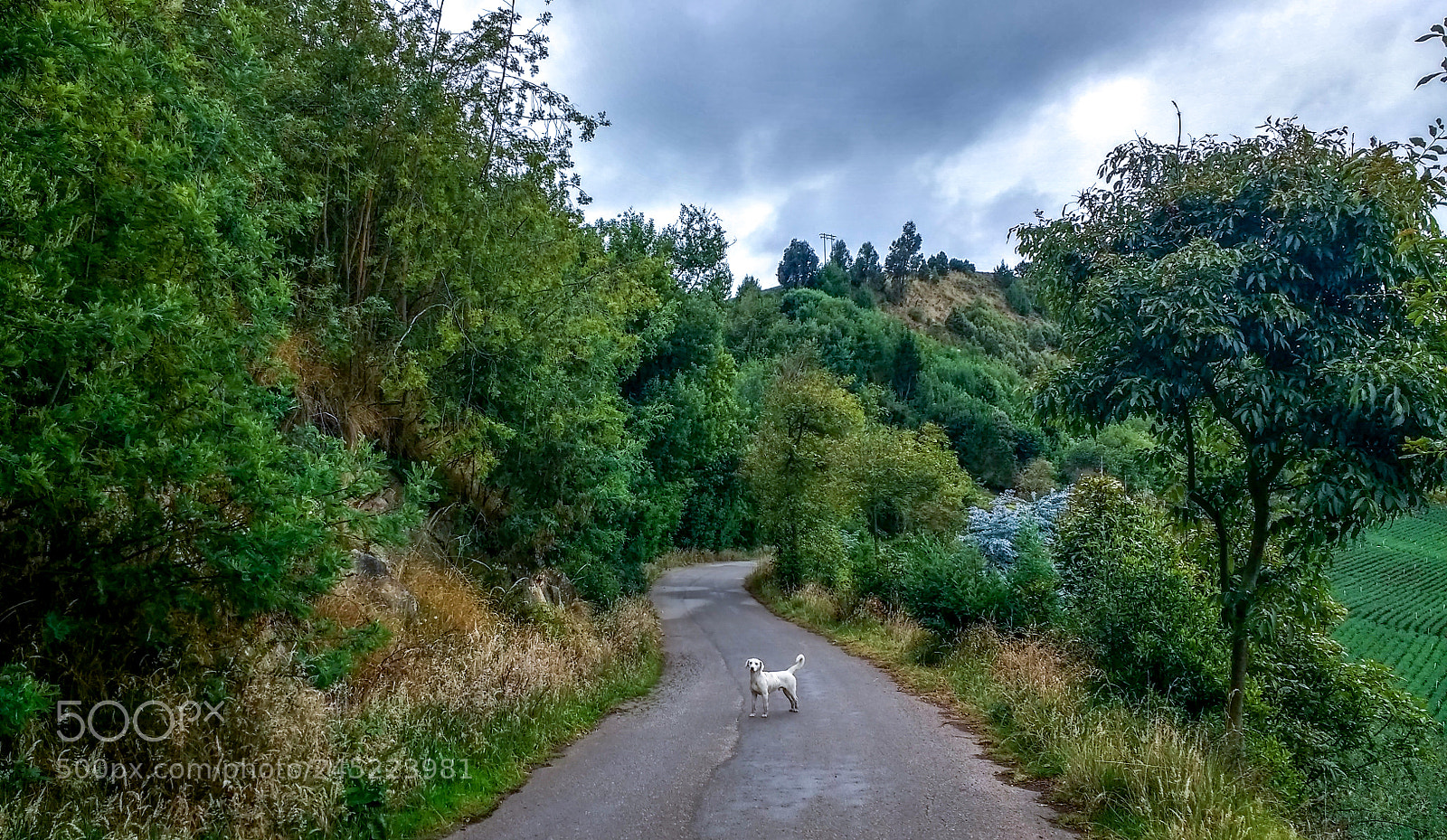 Motorola Moto G (4) sample photo. The lonely explorer photography
