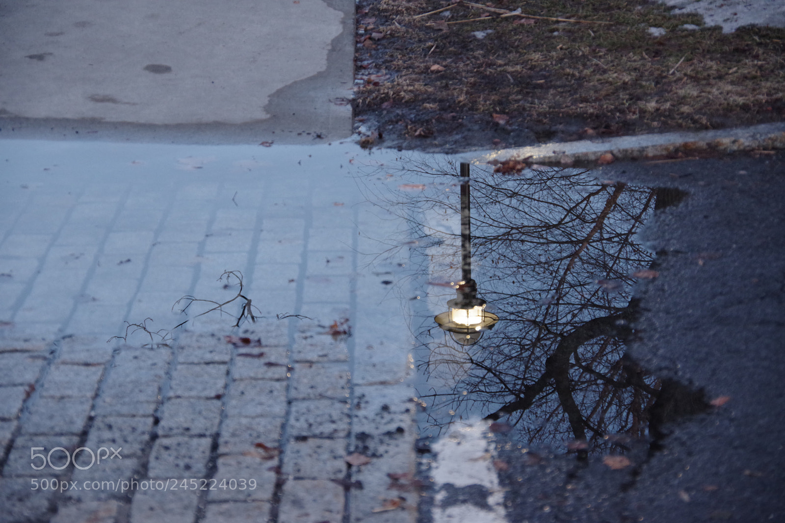 Pentax K-70 sample photo. Narnia photography