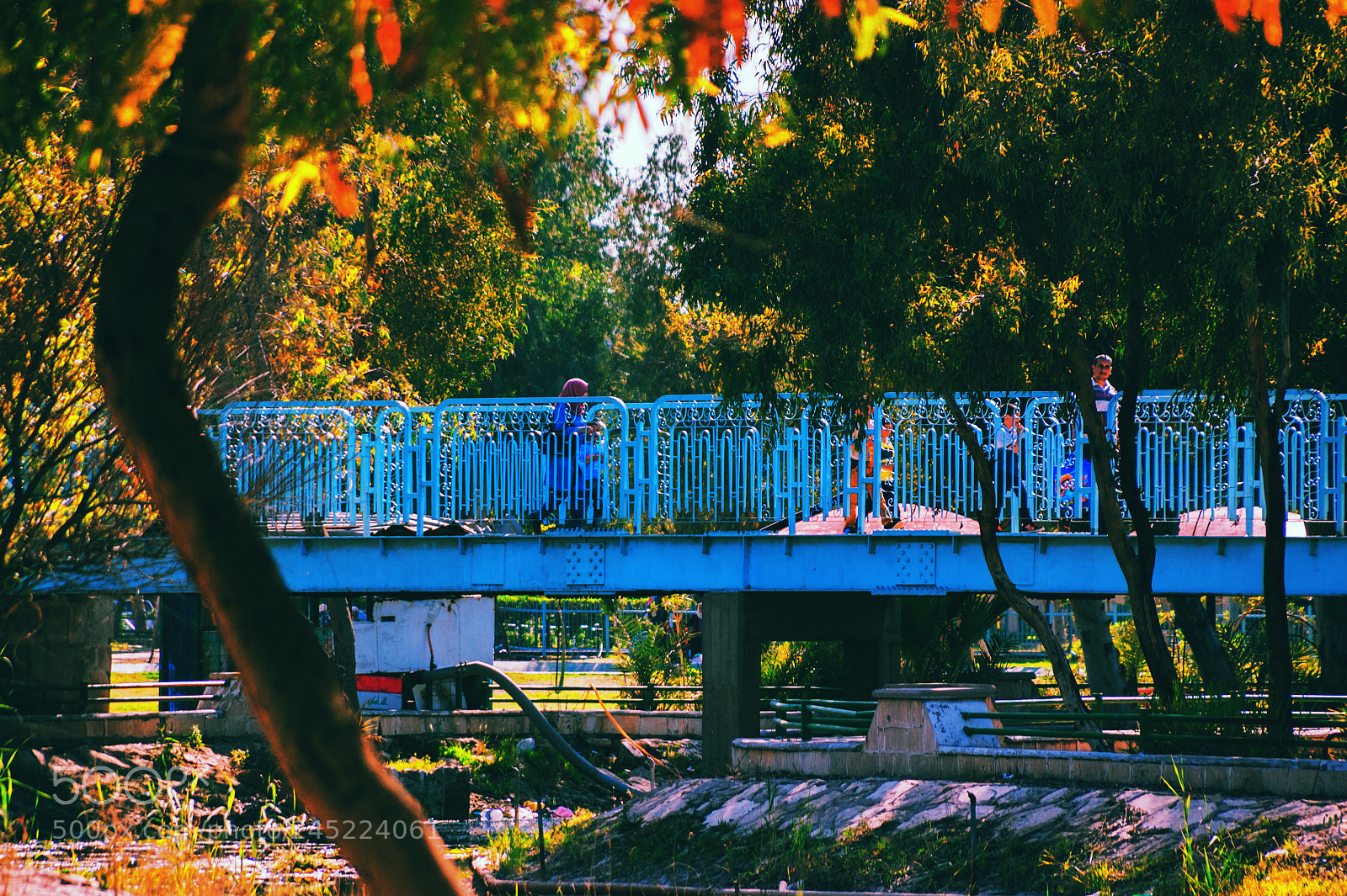 Sony Alpha DSLR-A350 sample photo. Sneaking up snapshots photography