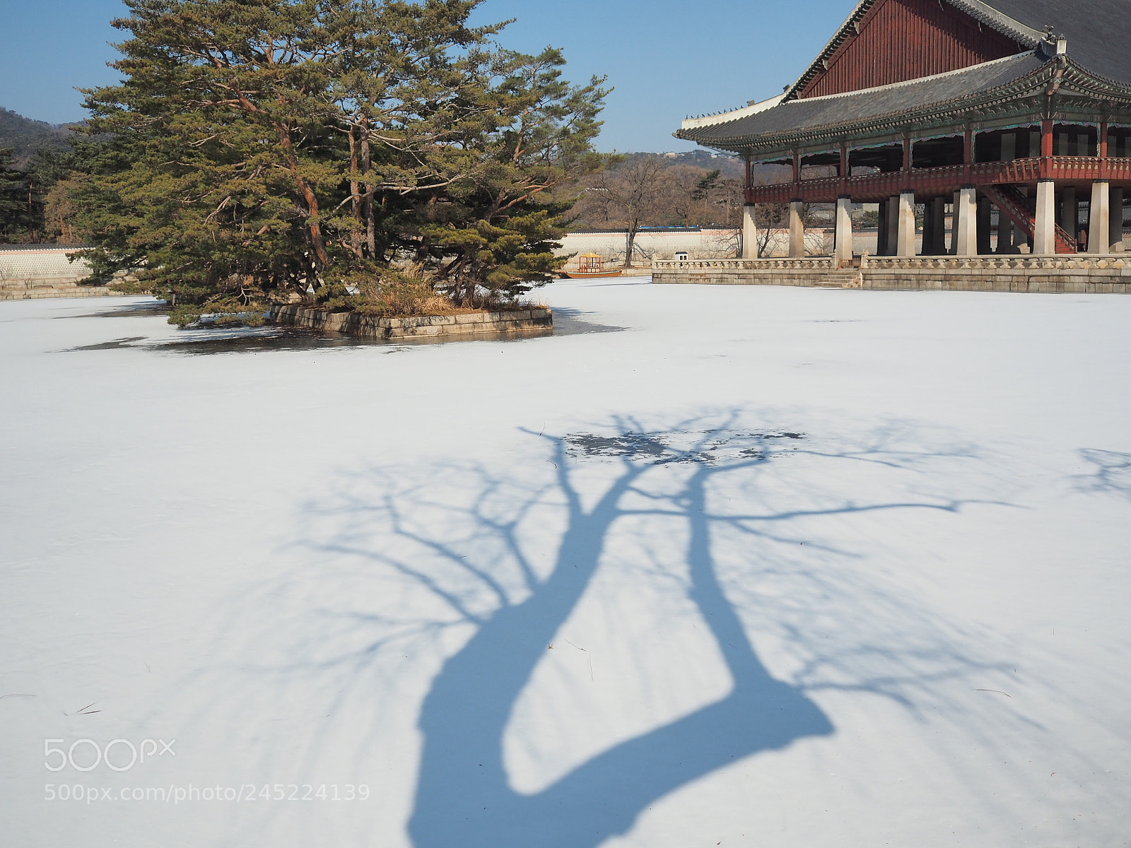 Olympus OM-D E-M5 II sample photo. Untitled photography
