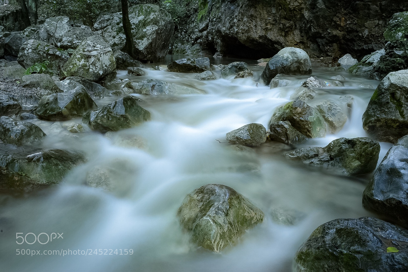 Nikon D5500 sample photo. Este lugar se llama photography