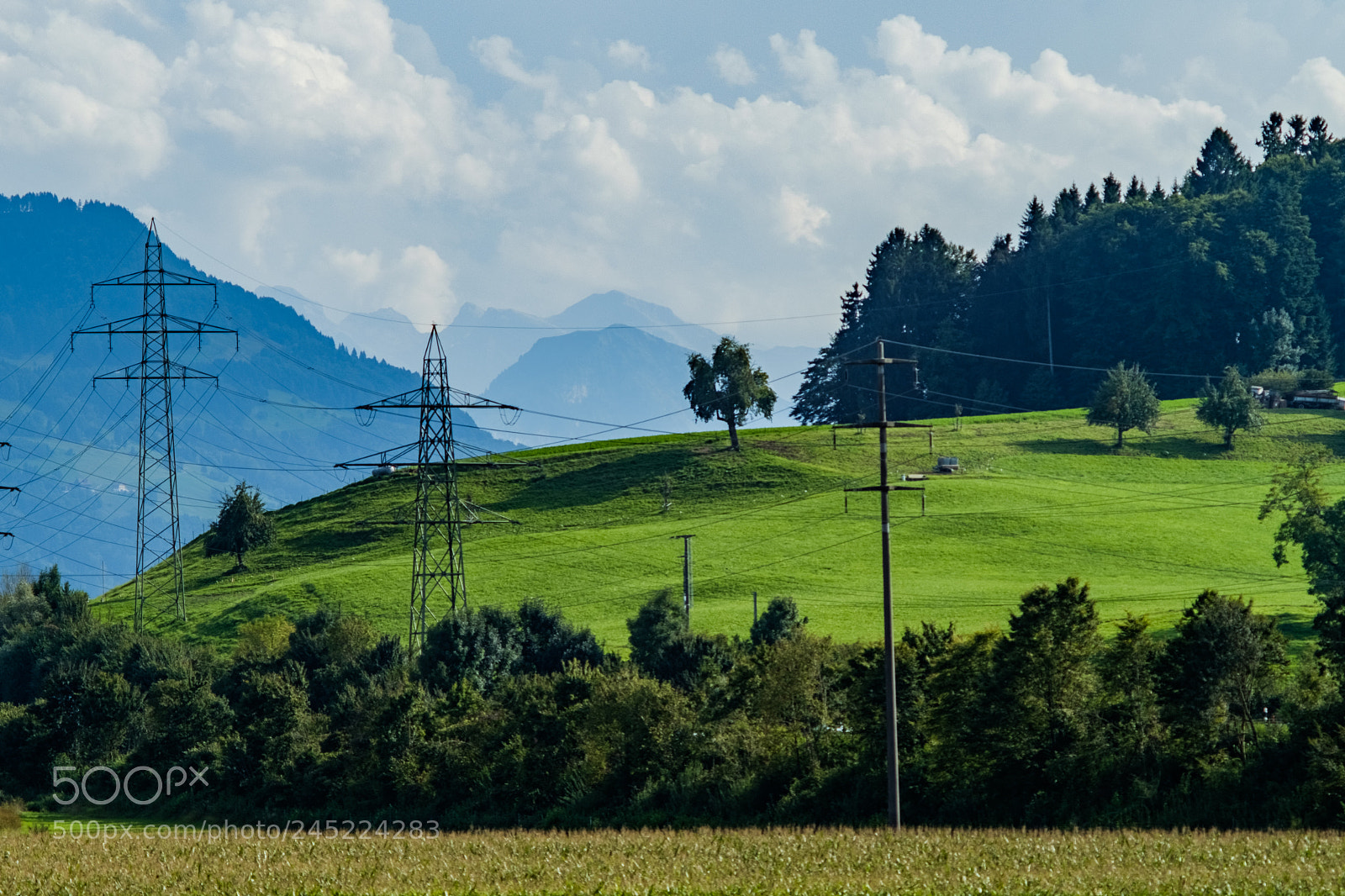 Fujifilm X-Pro2 sample photo. Lonely tree photography