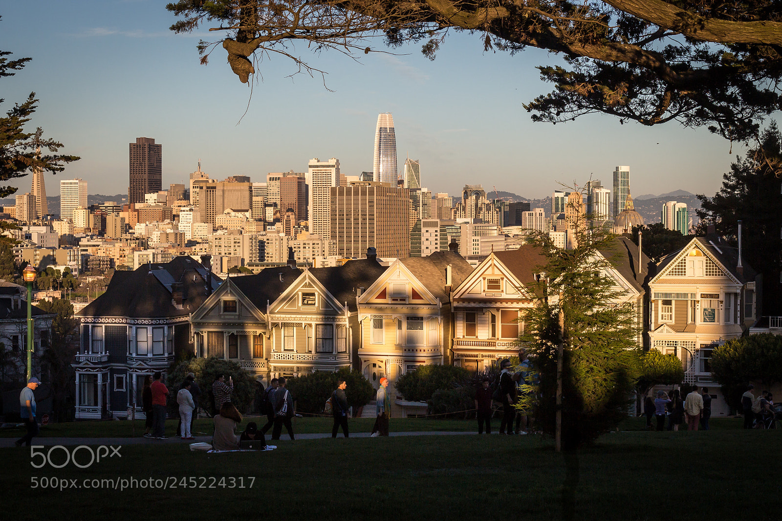 Canon EOS 700D (EOS Rebel T5i / EOS Kiss X7i) sample photo. Painted ladies, alamo square photography