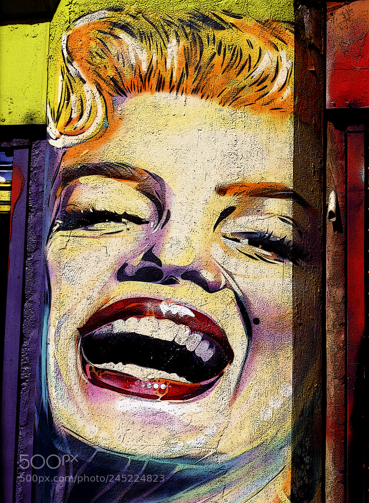 Panasonic Lumix DMC-ZS30 (Lumix DMC-TZ40) sample photo. Shoreditch graffiti - blonde 6 photography