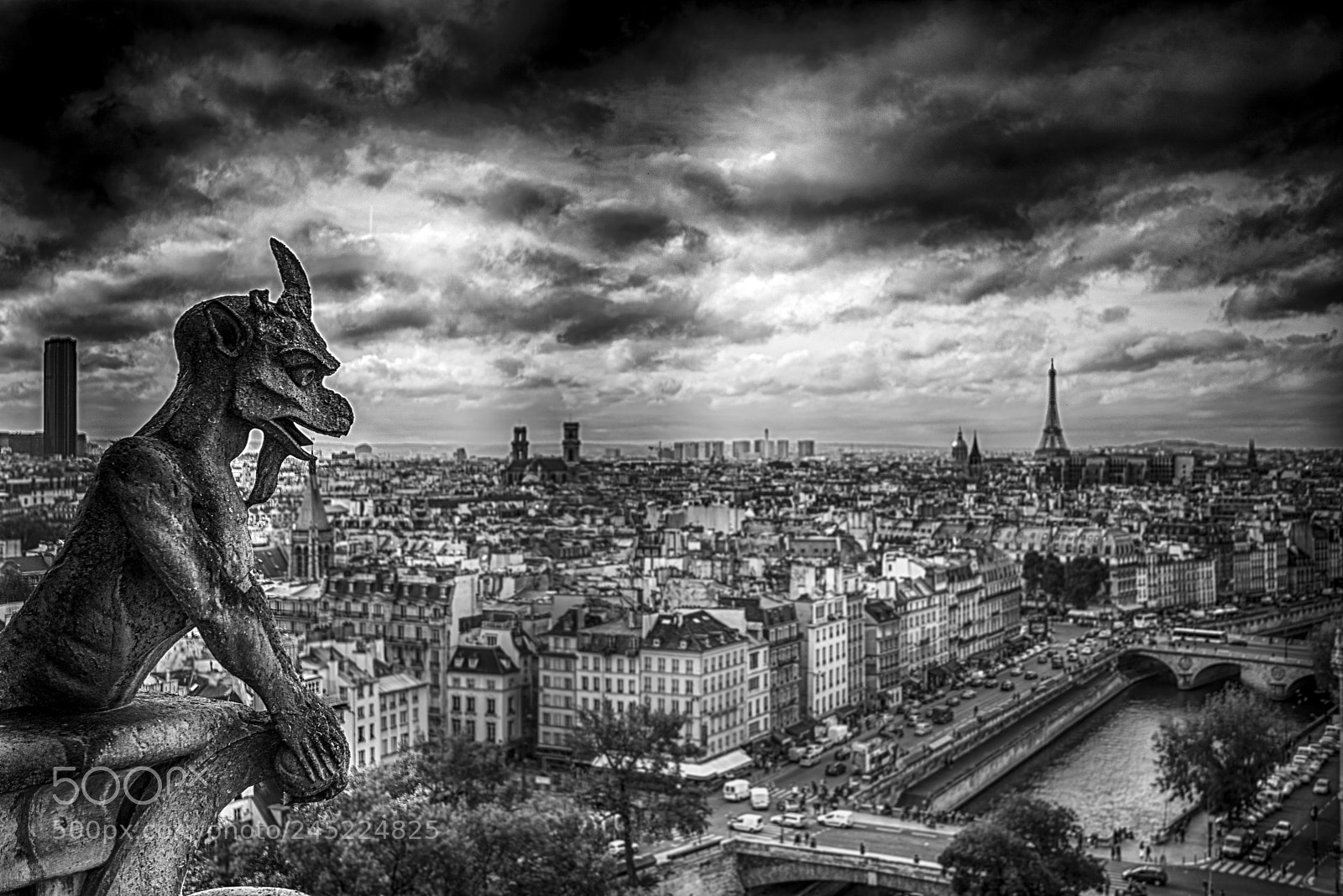 Nikon D800 sample photo. Gargouille from notre damme photography