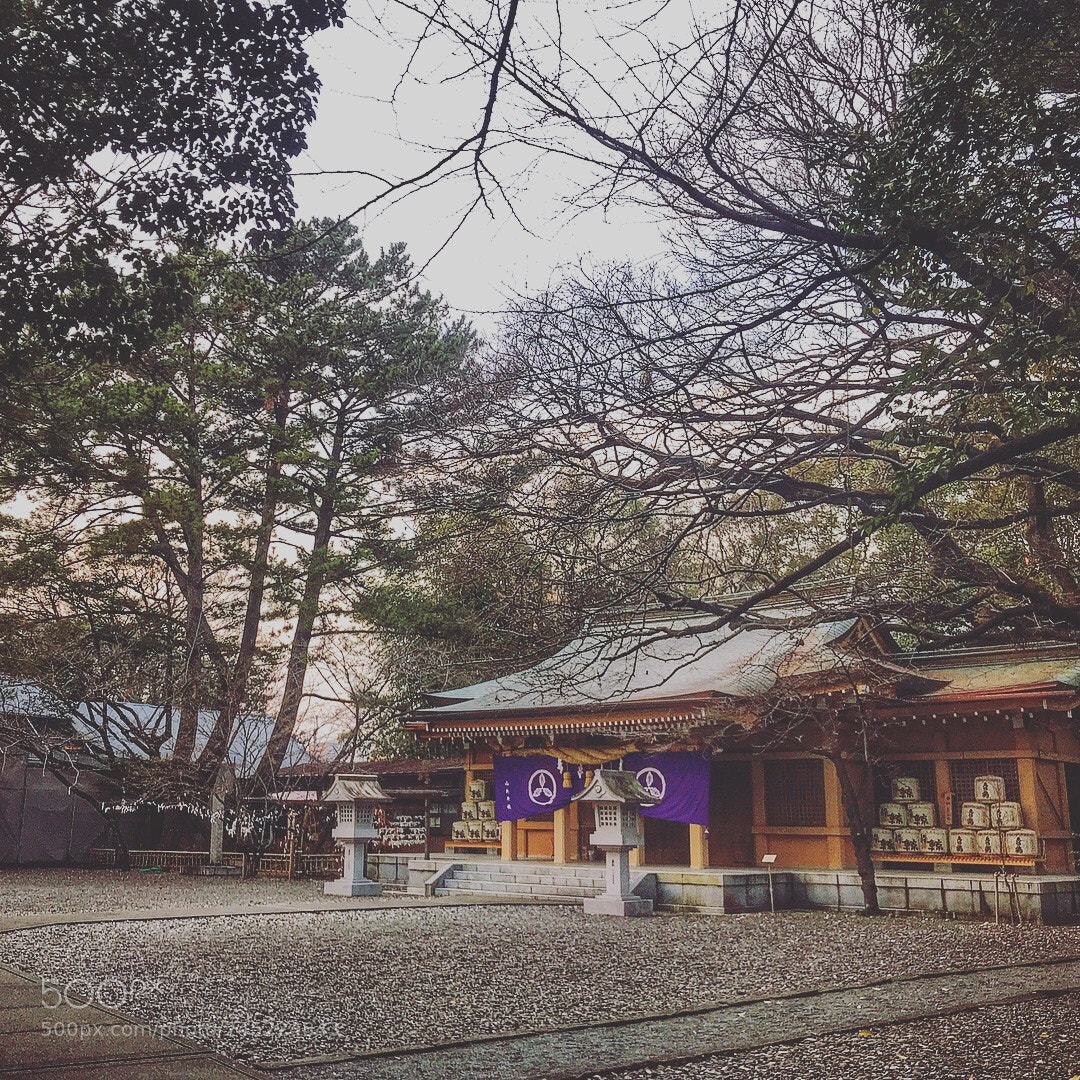 Apple iPhone 7 Plus sample photo. Japanese shrine photography