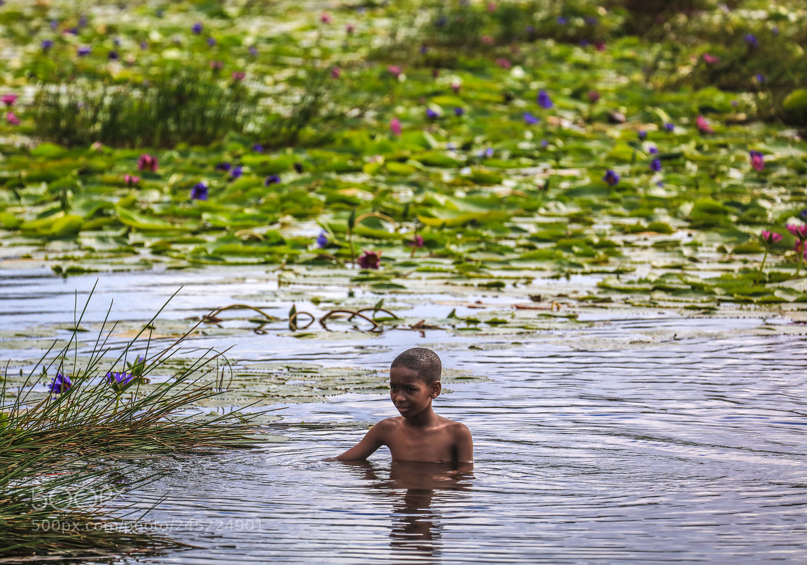 Canon EOS 5DS R sample photo. Pitch lake 7 photography