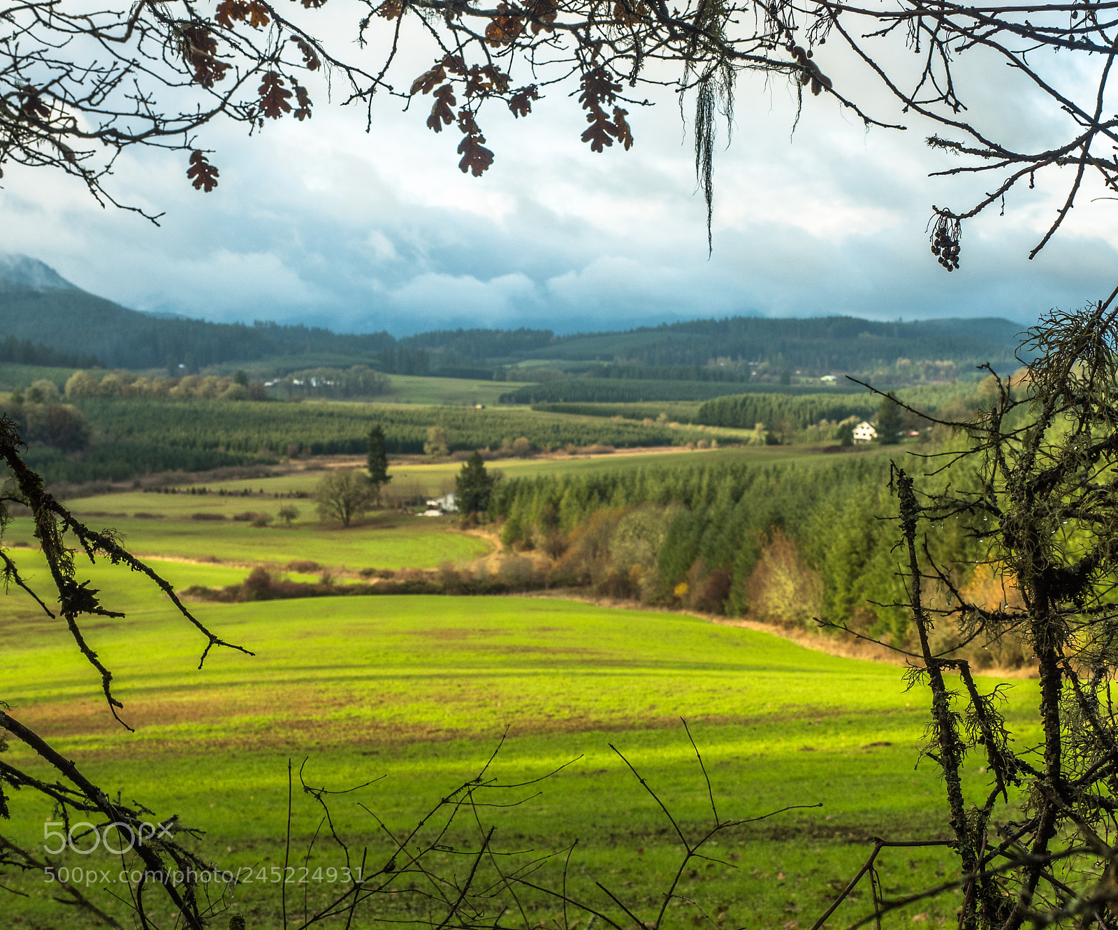Olympus OM-D E-M5 II sample photo. Rural yamhill county photography