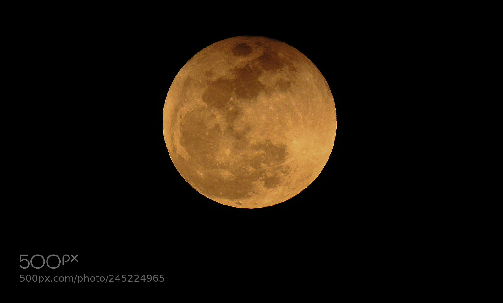 Nikon Coolpix P900 sample photo. Moon photography