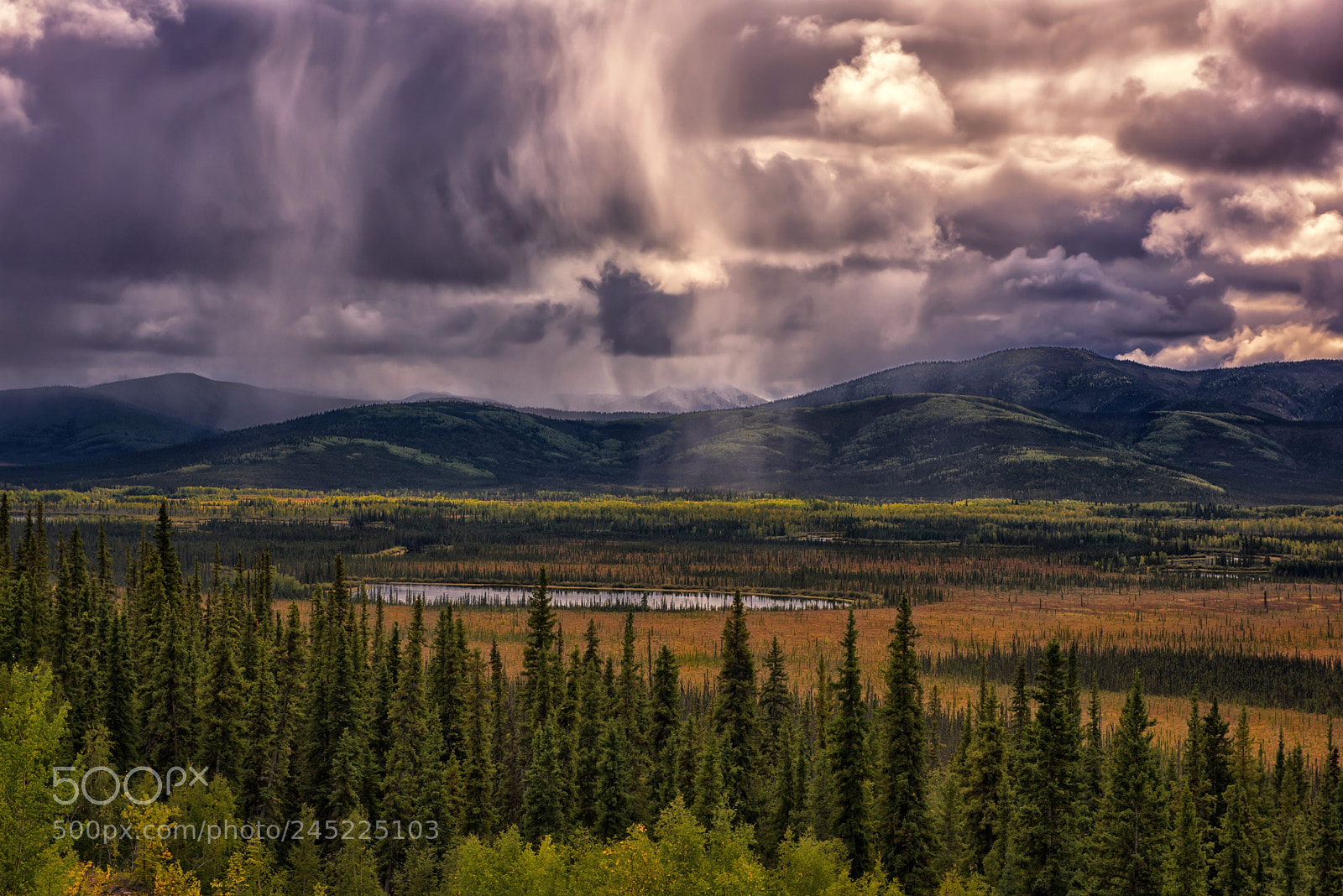 Nikon D810 sample photo. Alaskan thunderstorm photography
