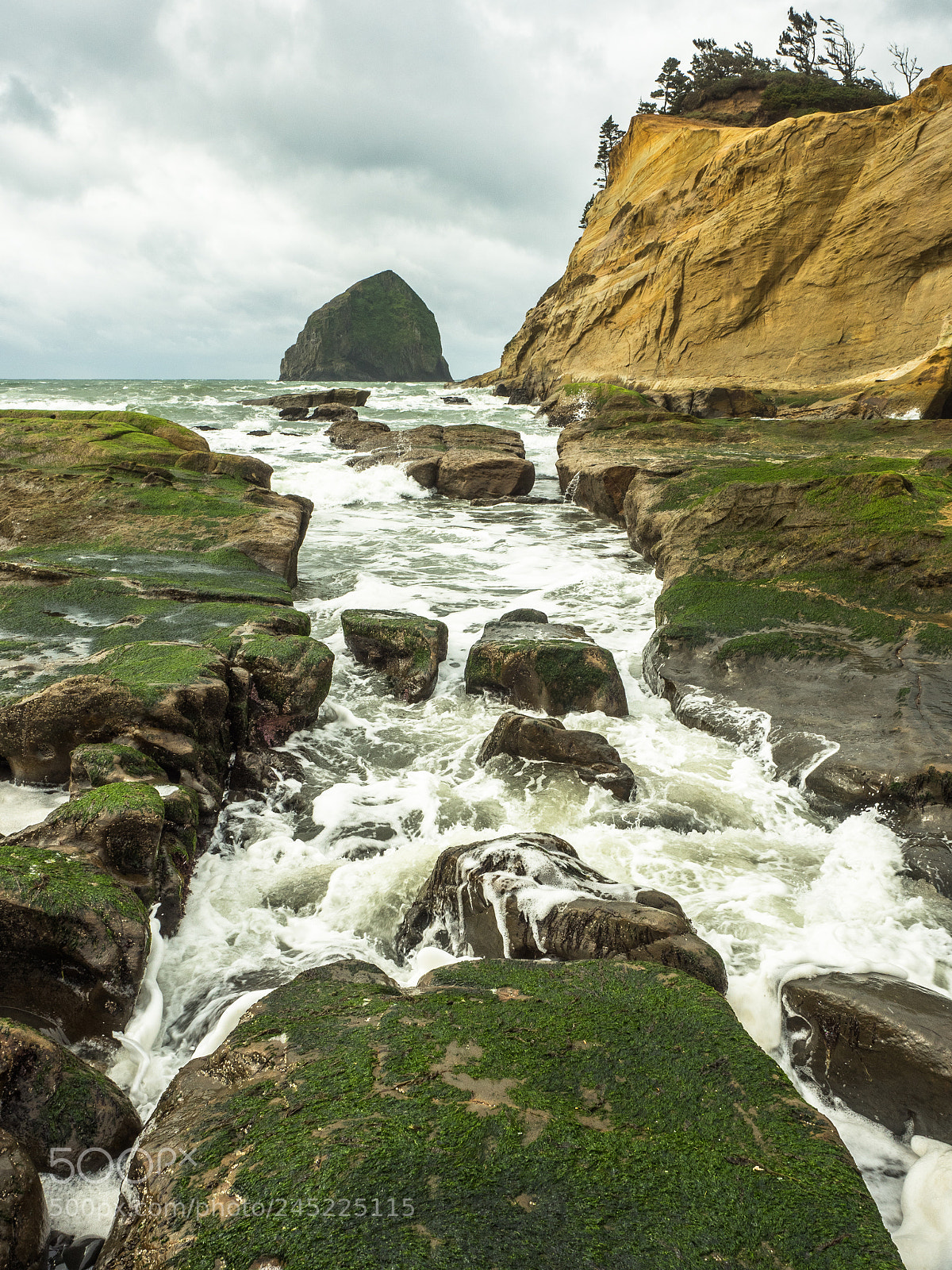 Olympus OM-D E-M5 II sample photo. Haystack rock in pacific photography