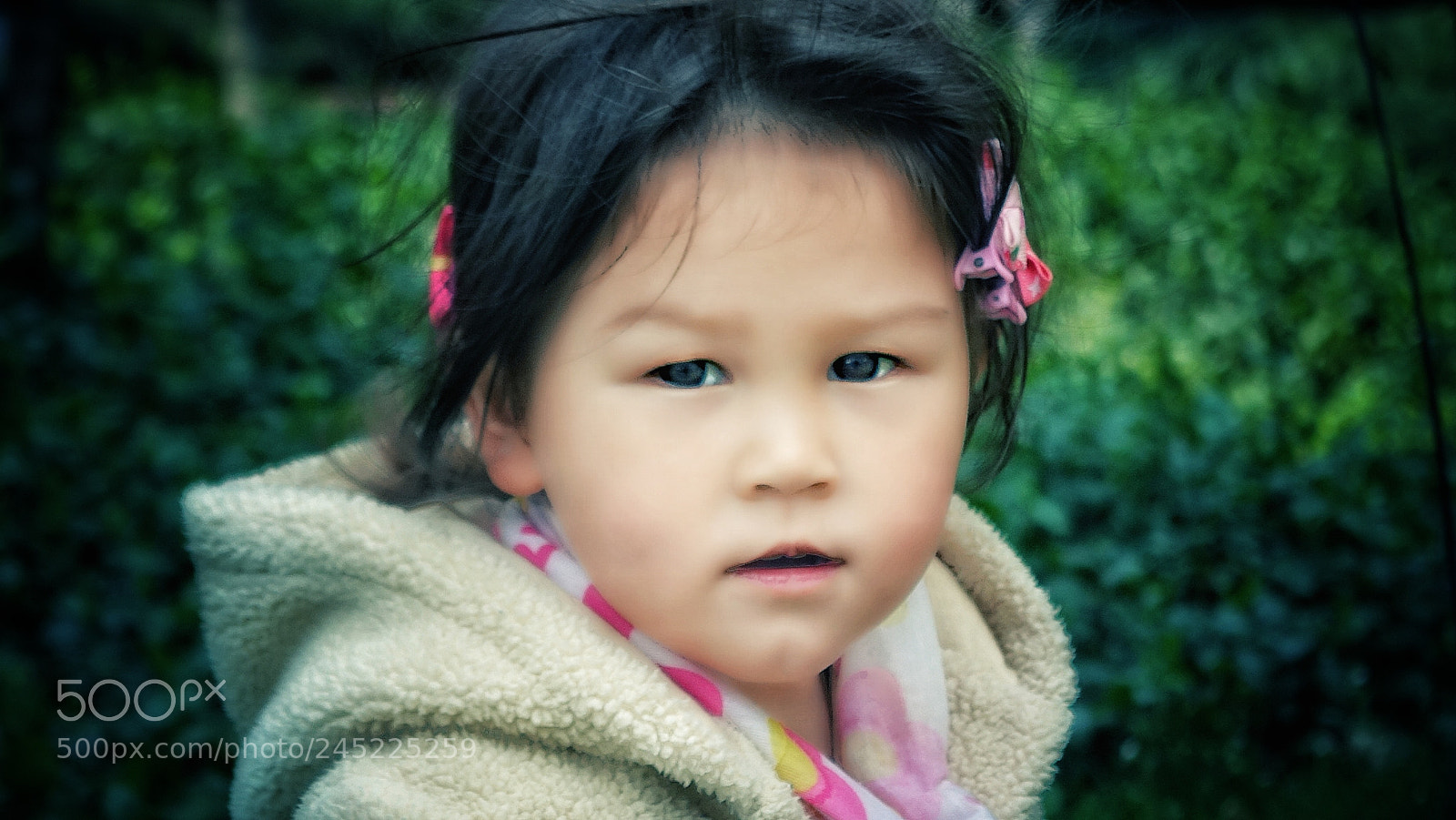 Sony Cyber-shot DSC-RX100 III sample photo. Lily photography