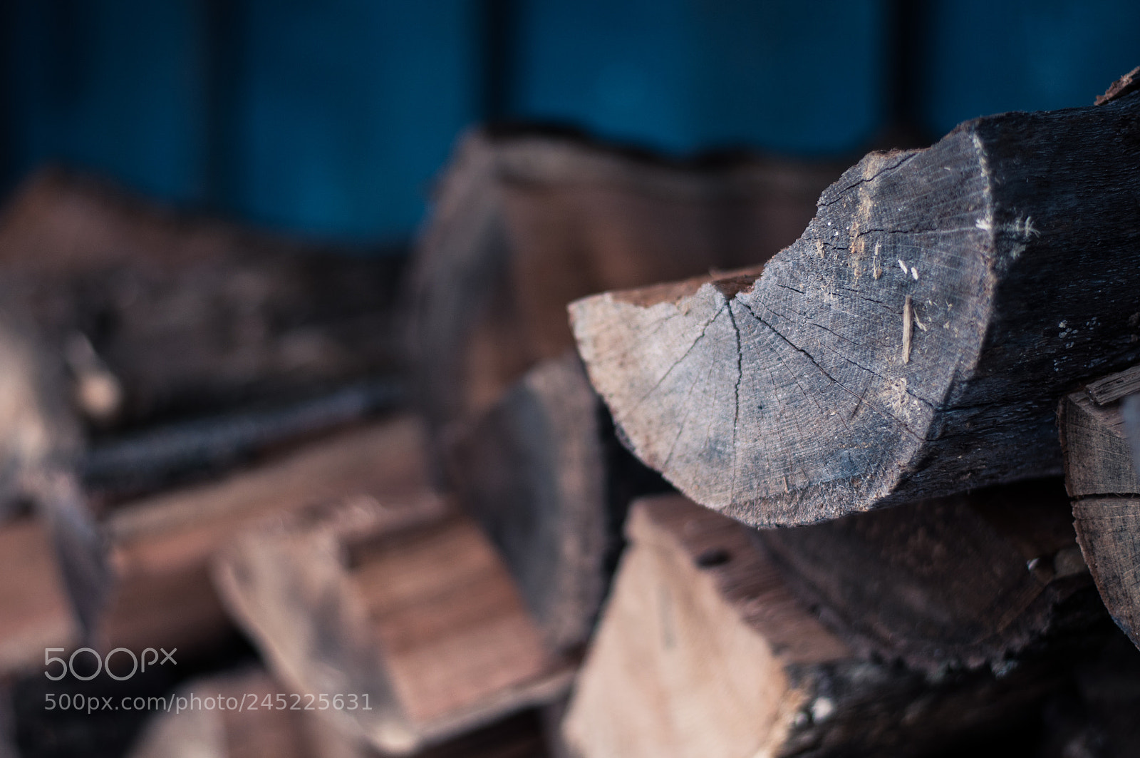 Nikon D5000 sample photo. Wood pile photography