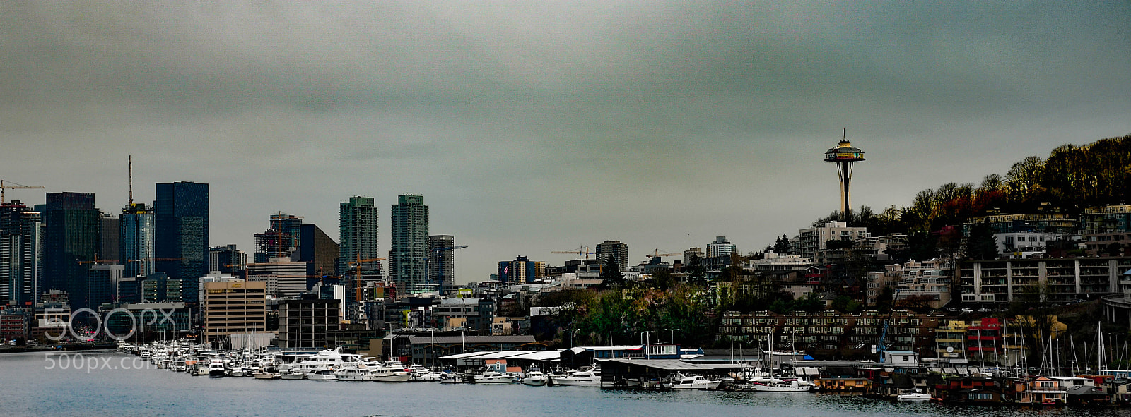 Nikon D7500 sample photo. Seattle photography