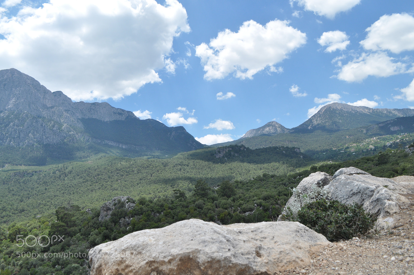 Nikon D5000 sample photo. Nature photography