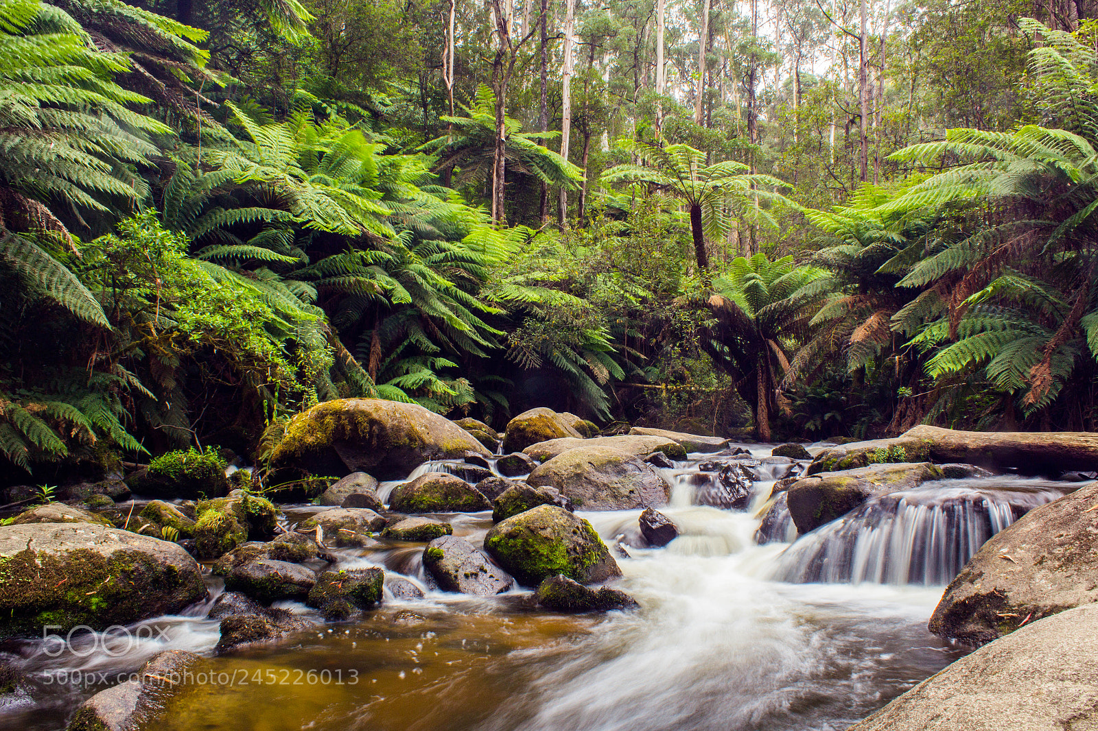 Canon EOS 1200D (EOS Rebel T5 / EOS Kiss X70 / EOS Hi) sample photo. Torongo falls photography