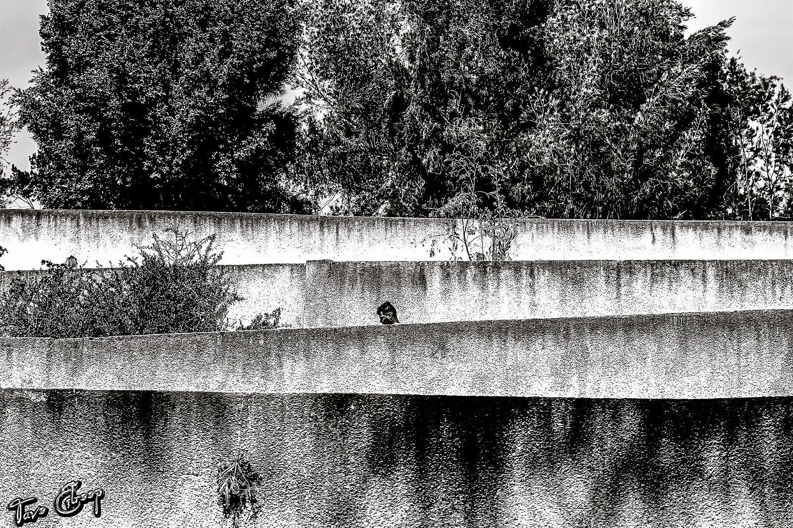 Canon EOS 1200D (EOS Rebel T5 / EOS Kiss X70 / EOS Hi) sample photo. Lineas blancoynegro fotografia mexico photography