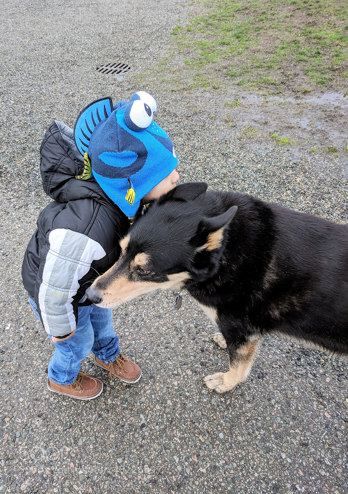 Google Pixel XL sample photo. So sweet! photography