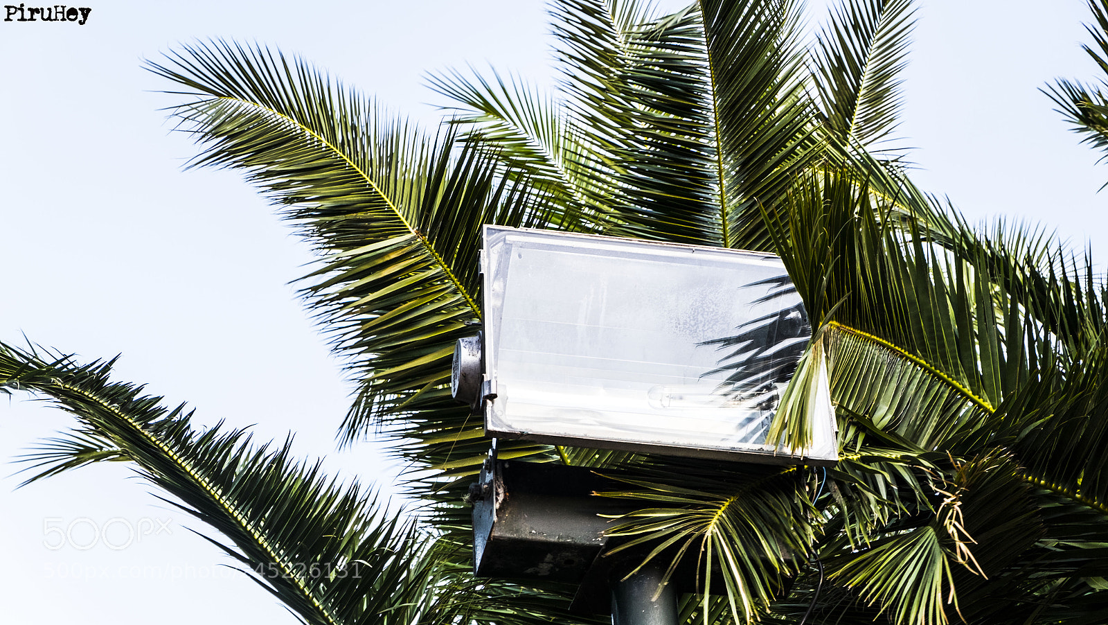 Fujifilm X-T10 sample photo. Random photography