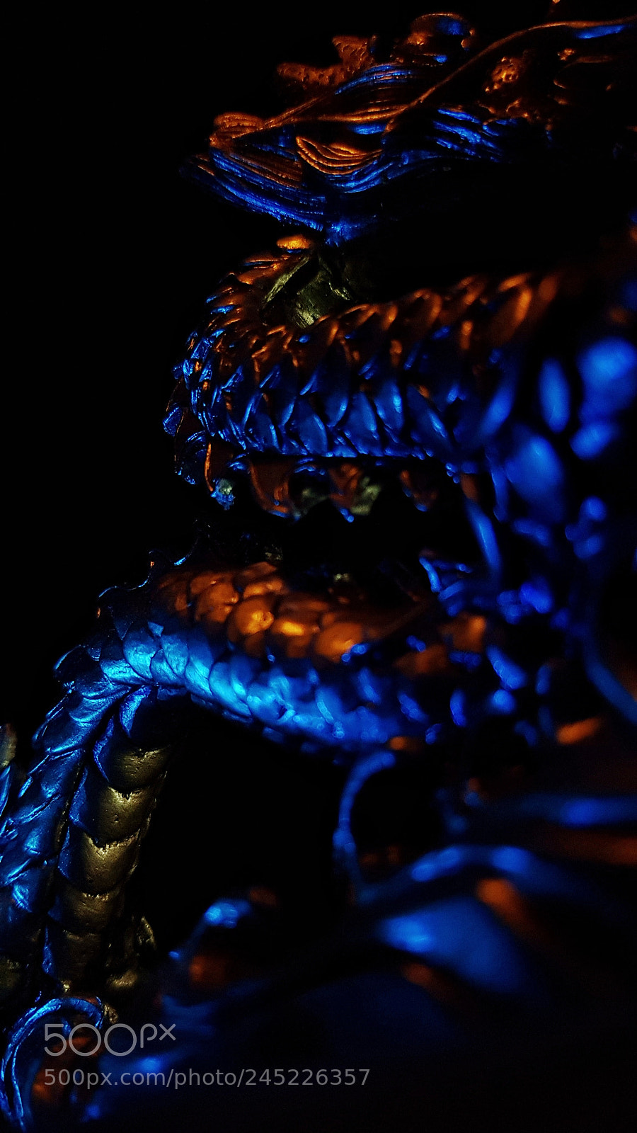 Samsung Galaxy S8 sample photo. Dragon photography