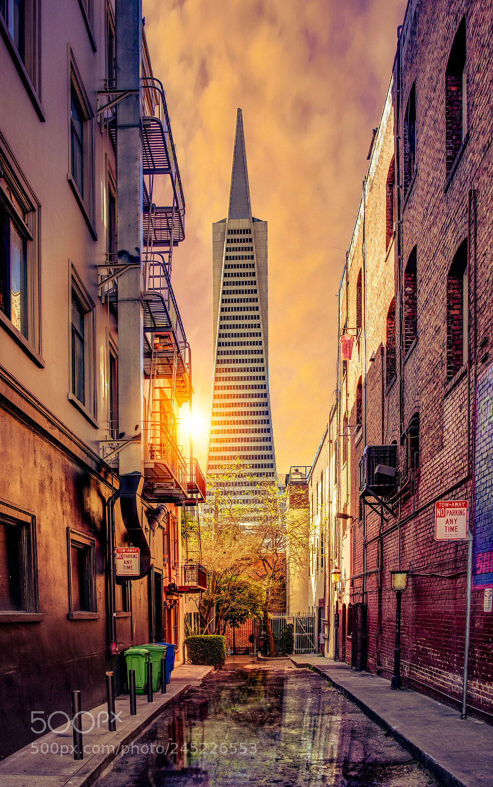Nikon D810 sample photo. Sunrise transamerica photography