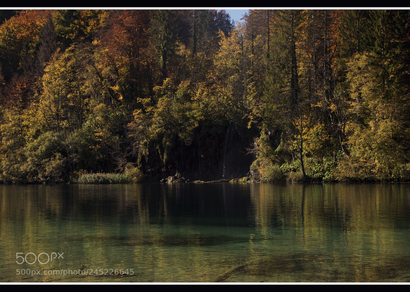 Nikon D5200 sample photo. A palette of colors photography