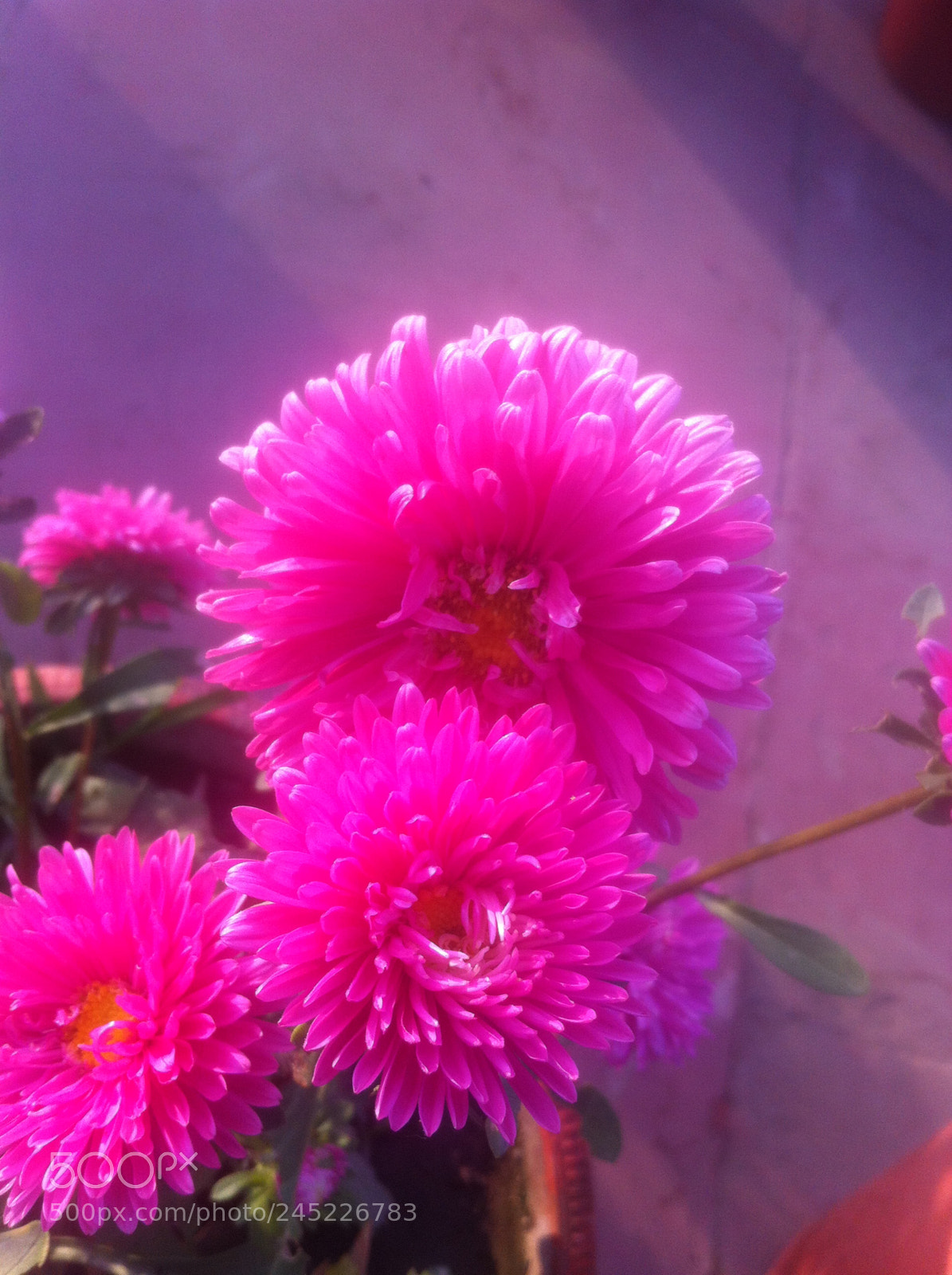 Apple iPhone 4 sample photo. Img photography