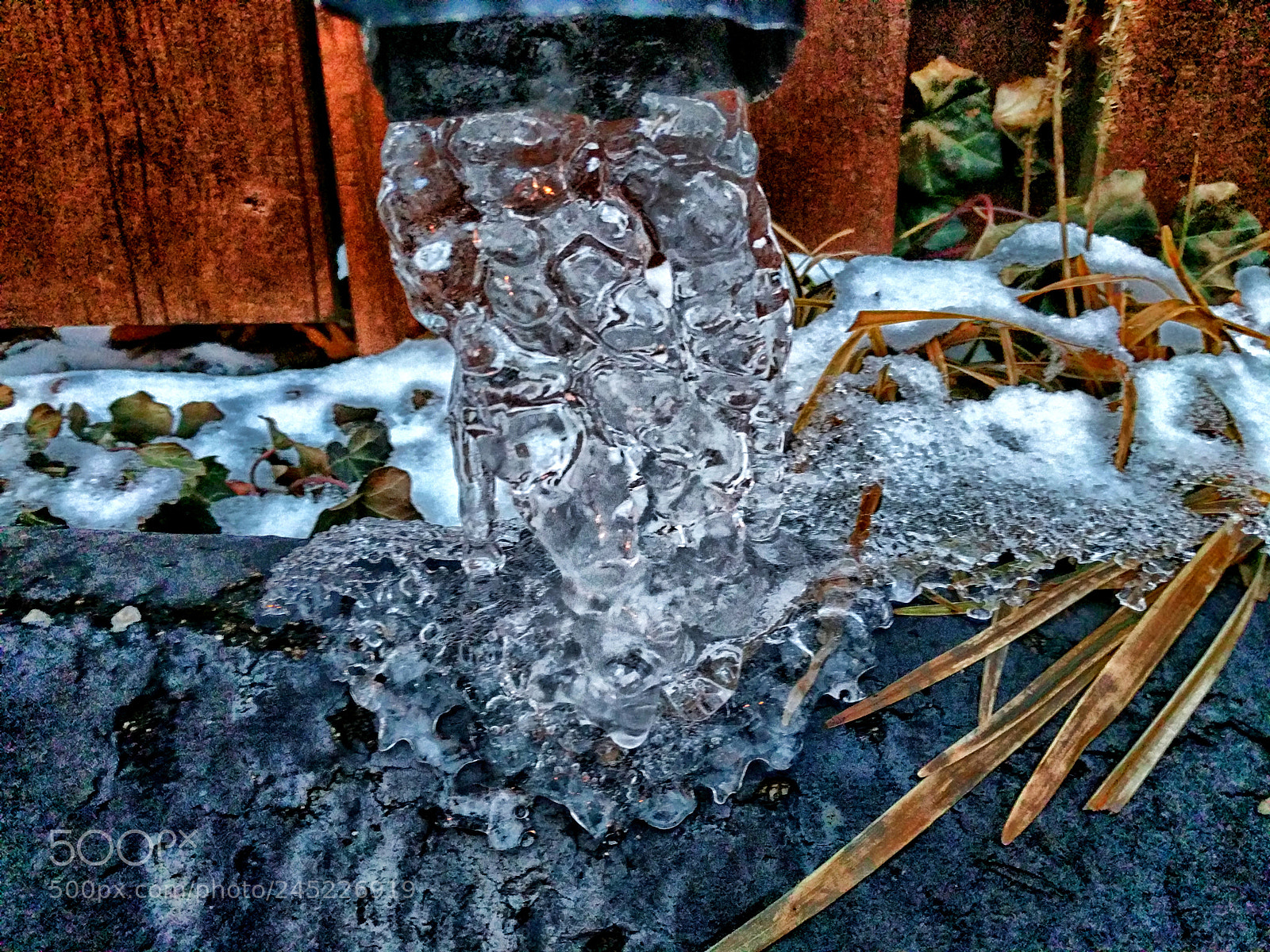 Google Pixel XL sample photo. Frozen photography