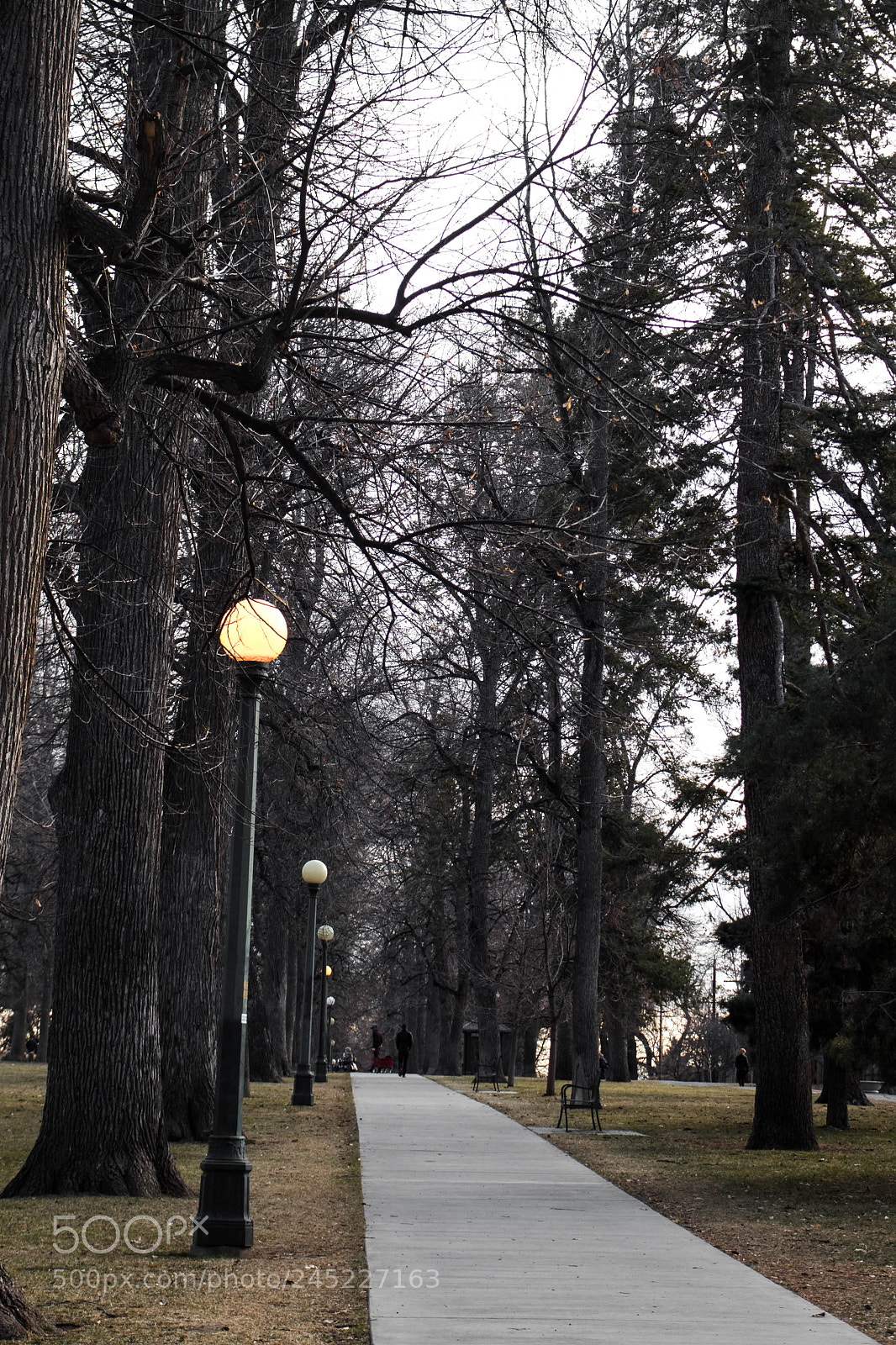 Canon EOS 700D (EOS Rebel T5i / EOS Kiss X7i) sample photo. Chessman park photography