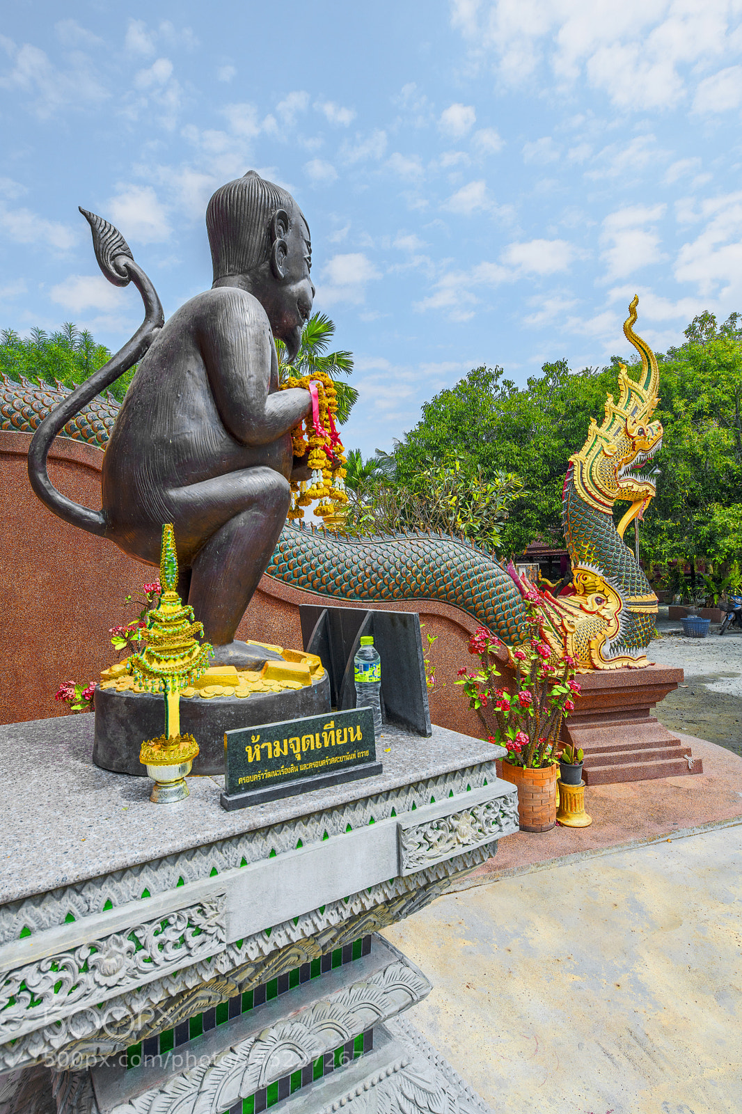 Nikon D850 sample photo. Le singe et le photography