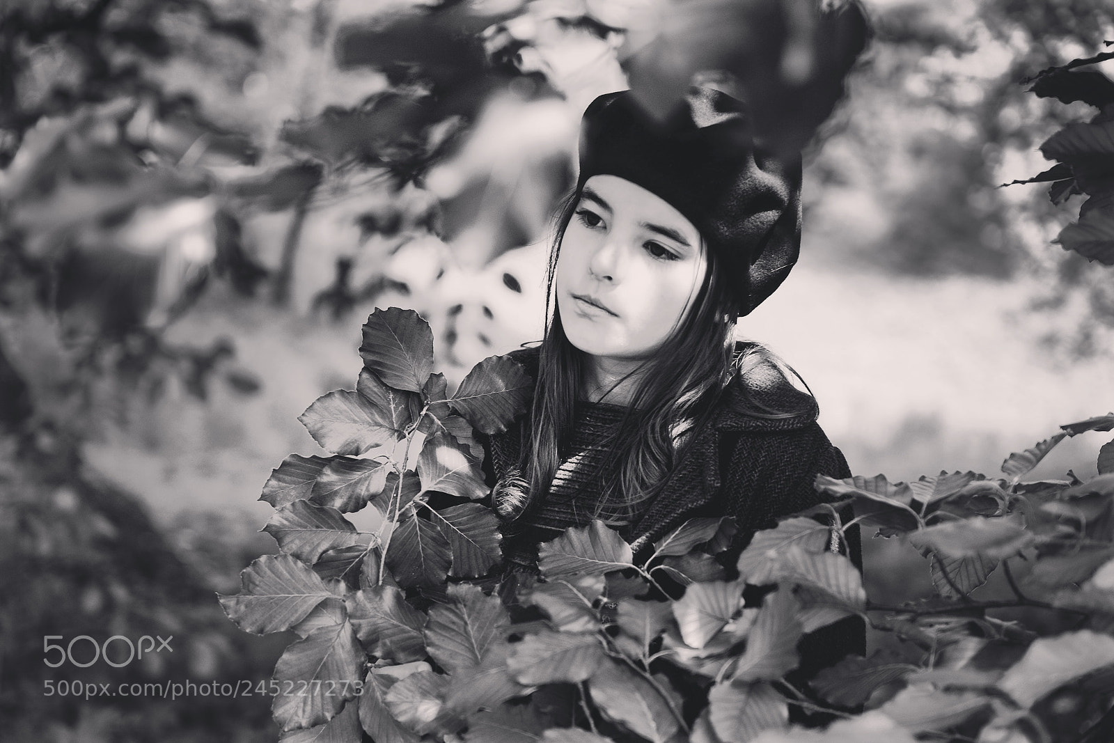 Nikon D800 sample photo. ... photography