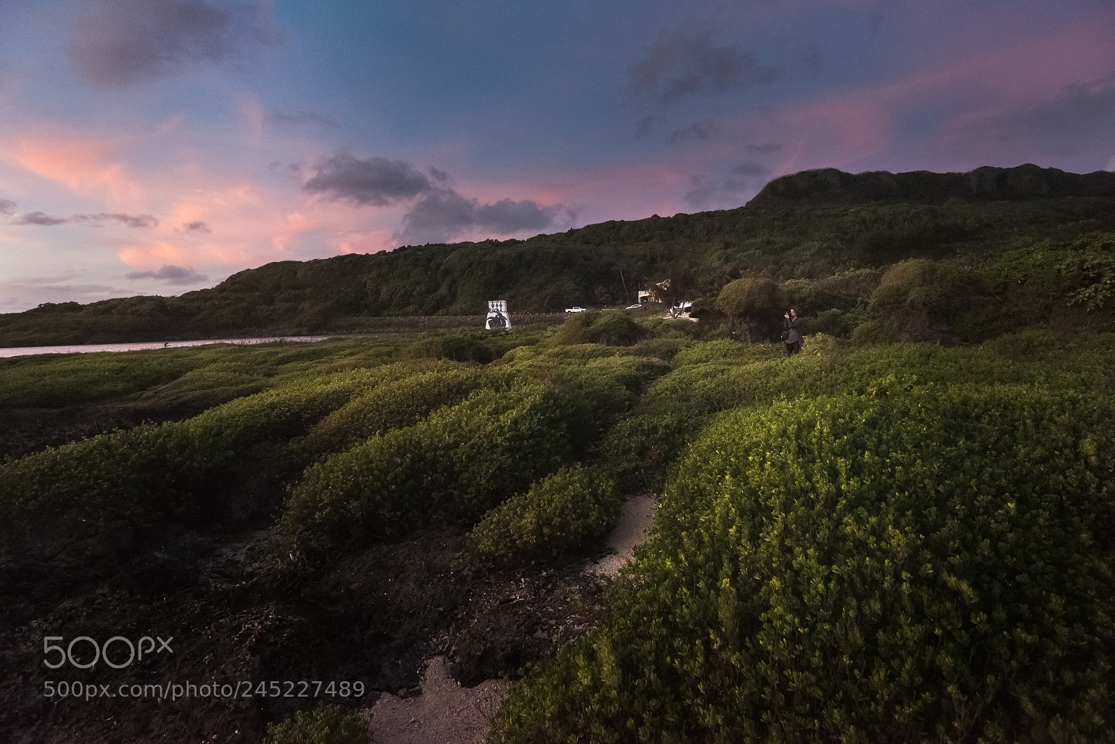 Nikon D810 sample photo. Colorful morning photography