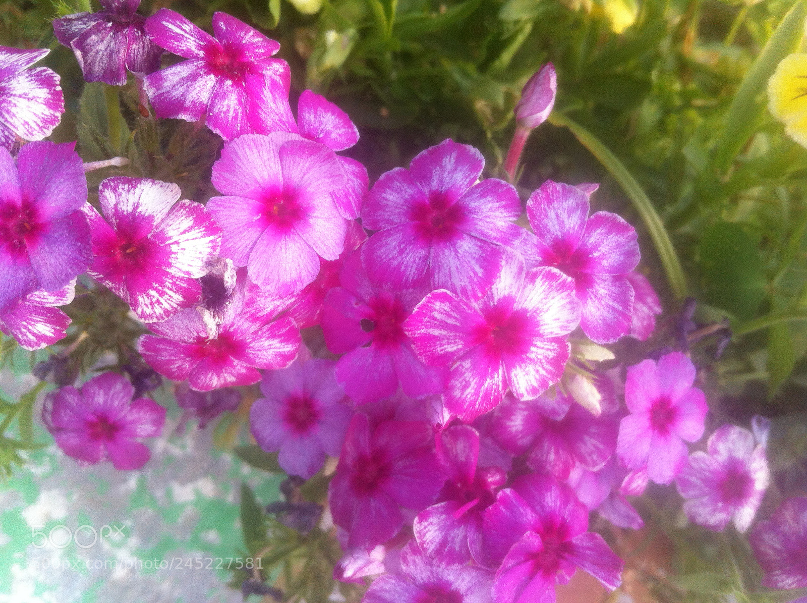 Apple iPhone 4 sample photo. Img photography
