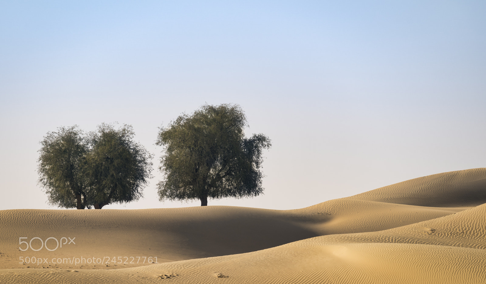 Sony a9 sample photo. Dubai 10 photography