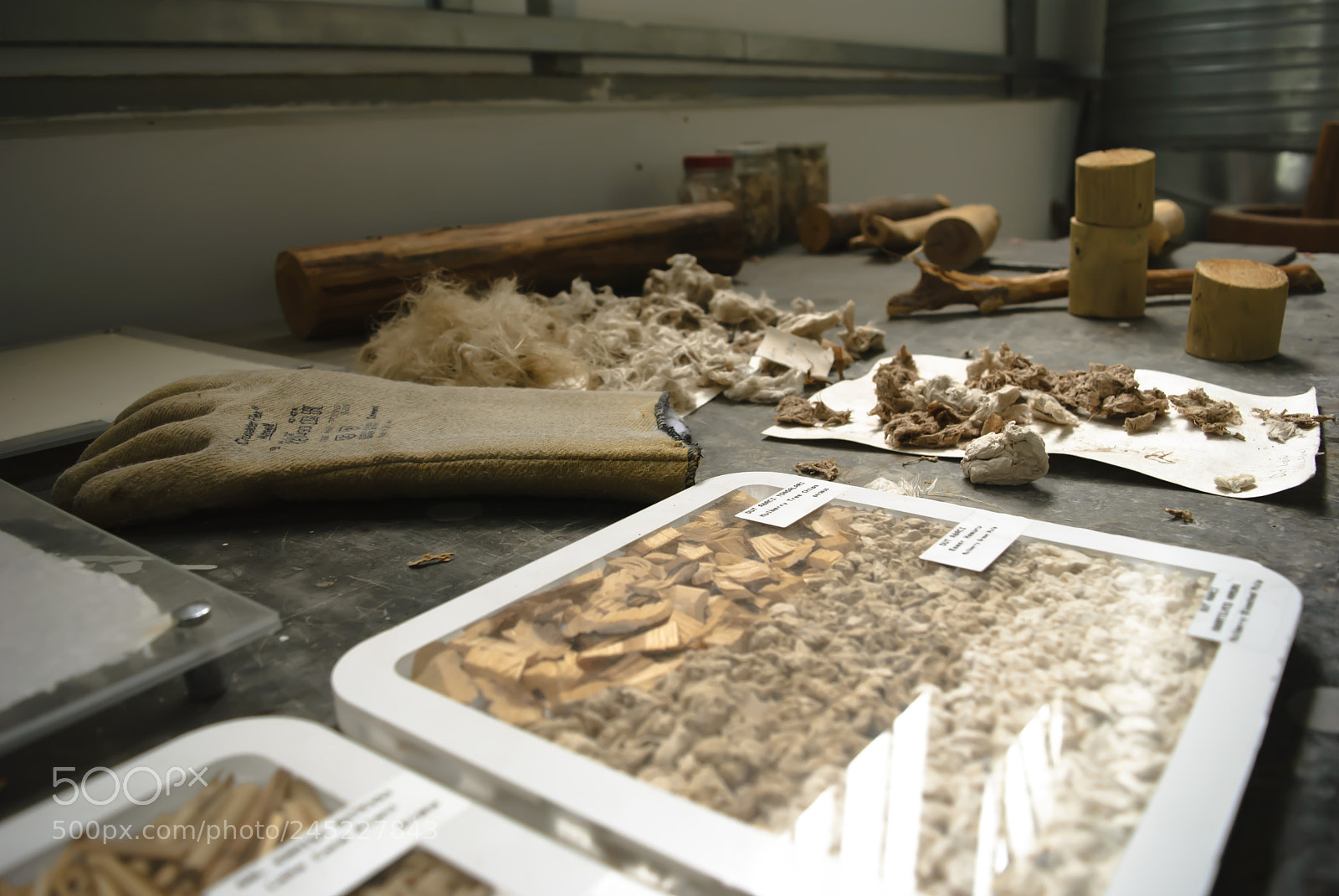 Nikon D3000 sample photo. Paper industry photography