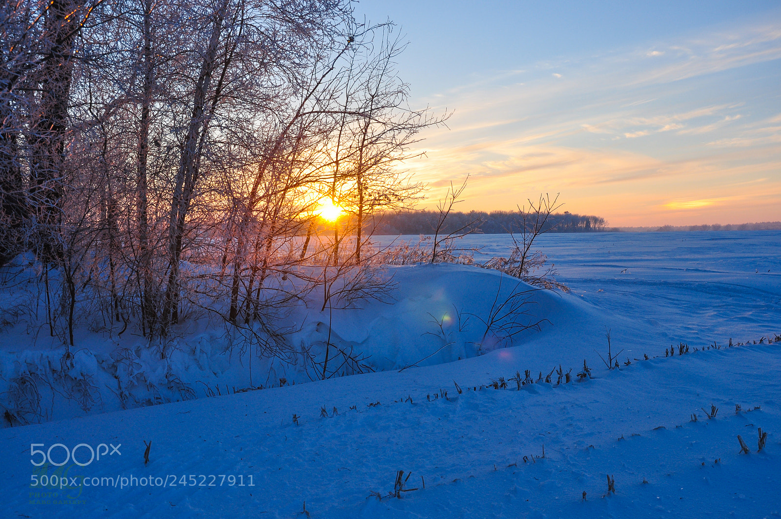 Nikon D90 sample photo. Winter sunset photography