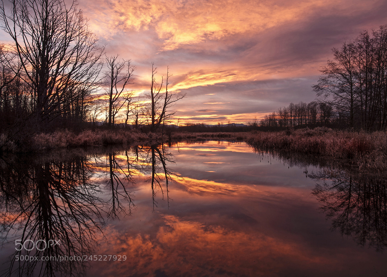 Canon EOS 5D sample photo. Sunrise at hovander park photography