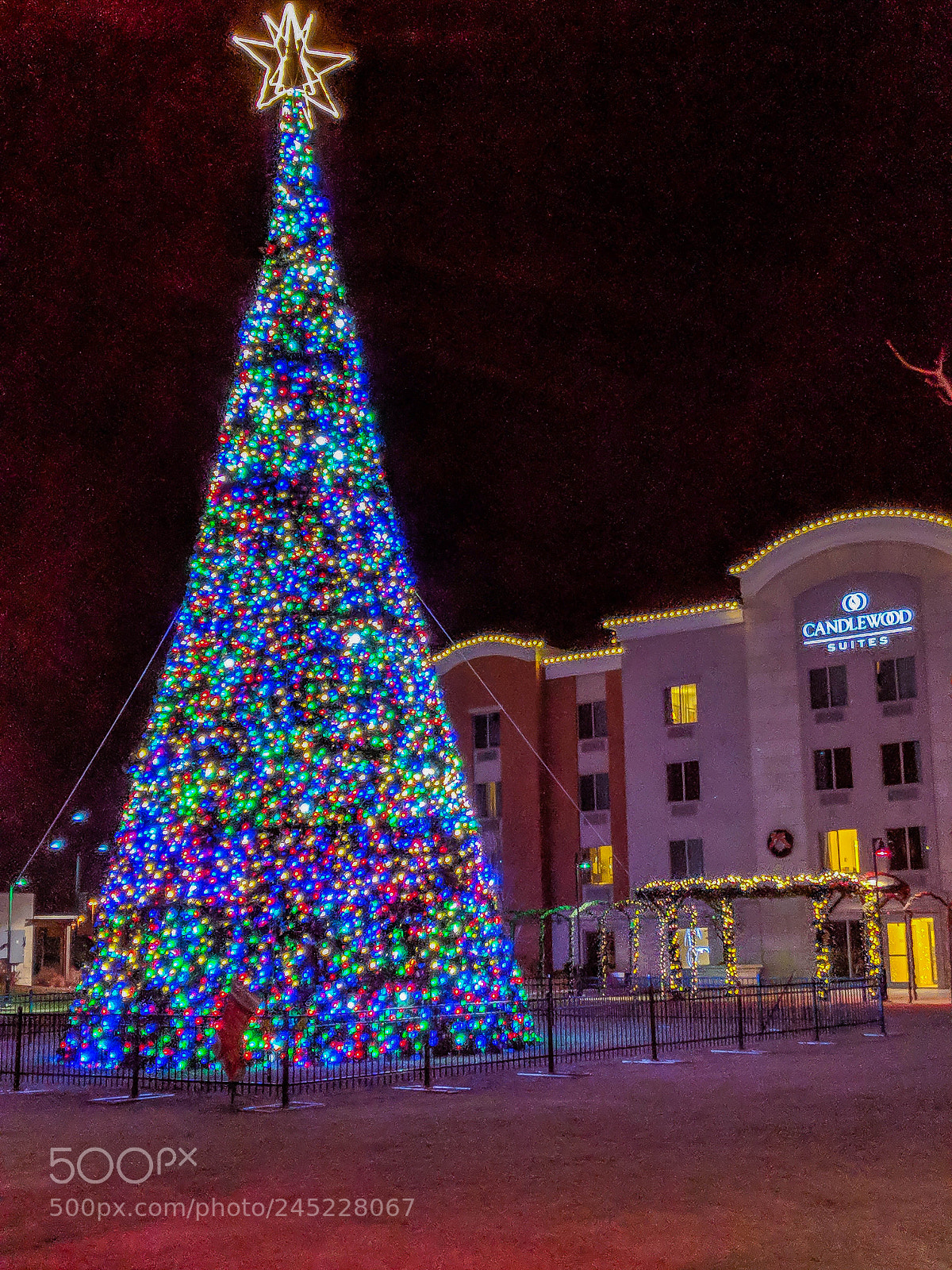Google Pixel 2 XL sample photo. Christmas outings photography