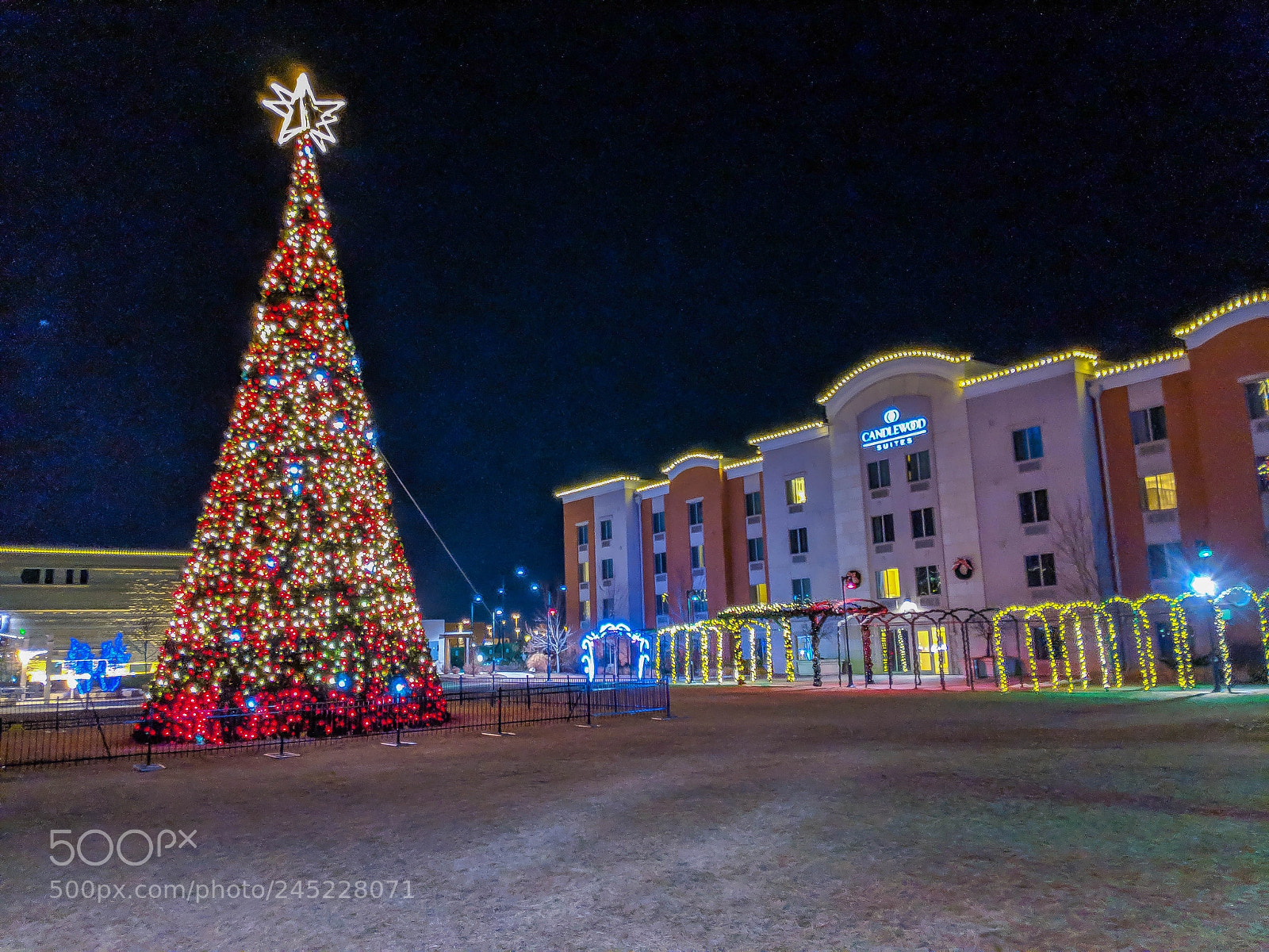 Google Pixel 2 XL sample photo. Christmas outings photography