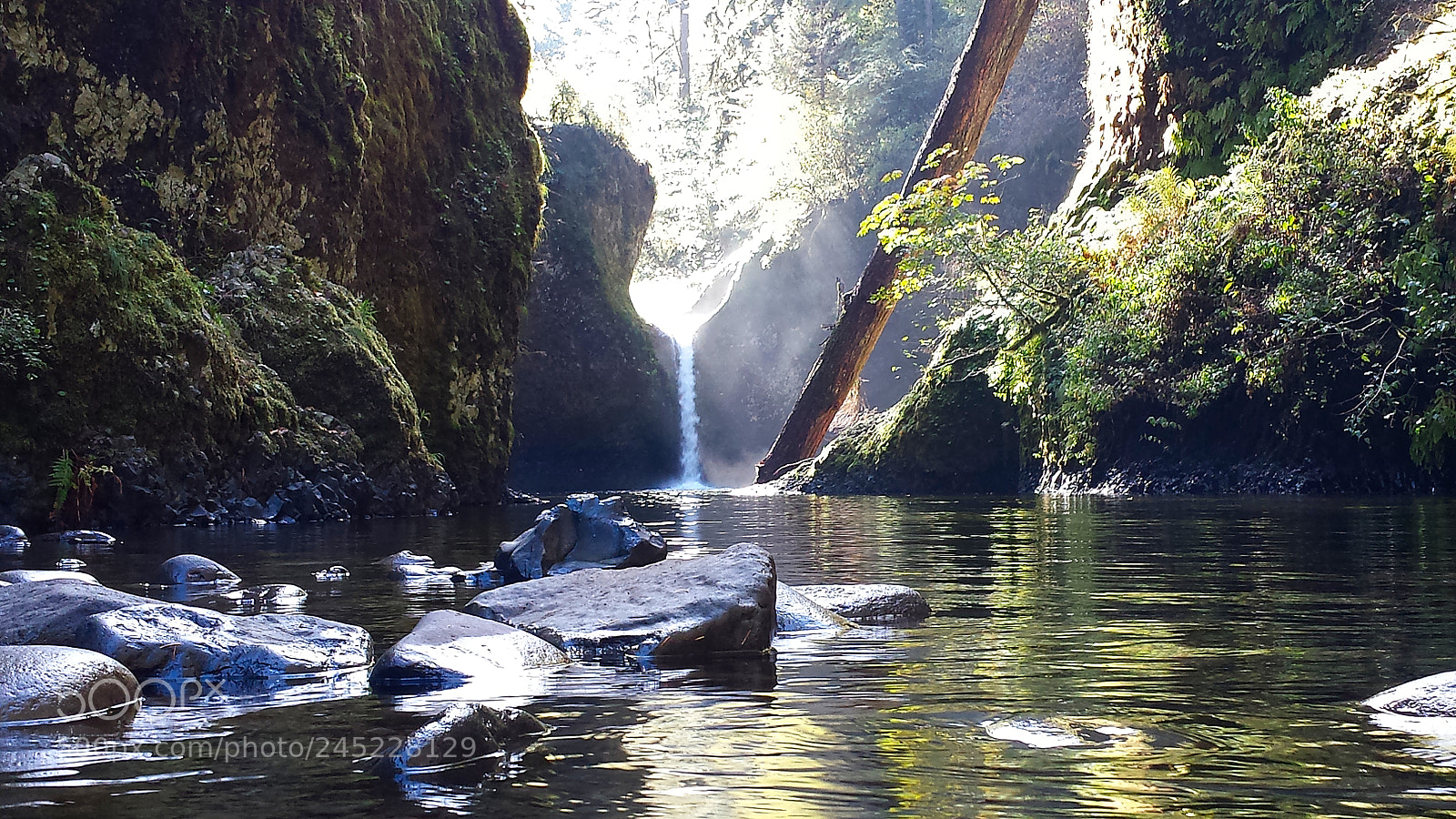 Samsung Galaxy S4 sample photo. Punchbowl falls photography